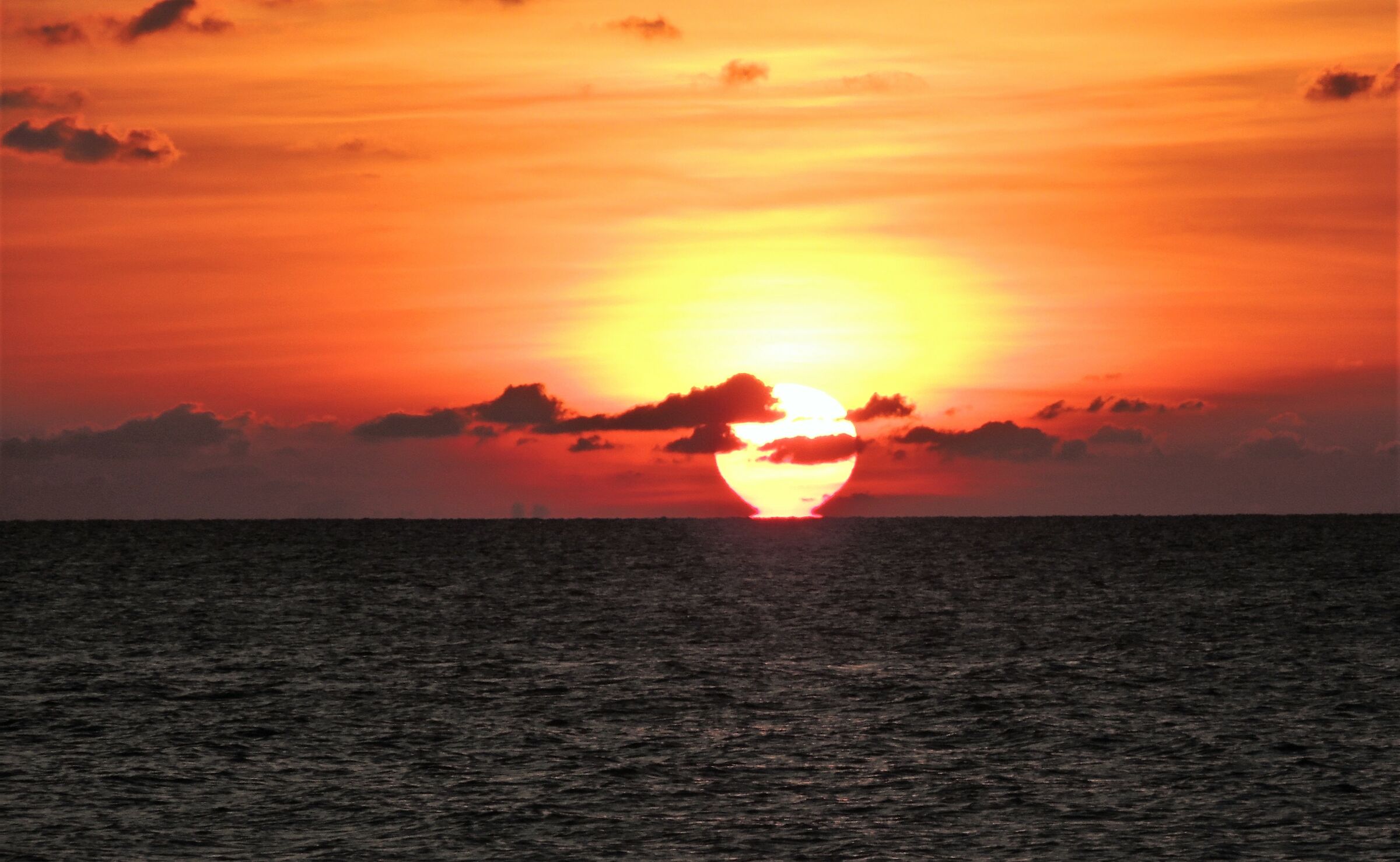 una sera in jamaica....