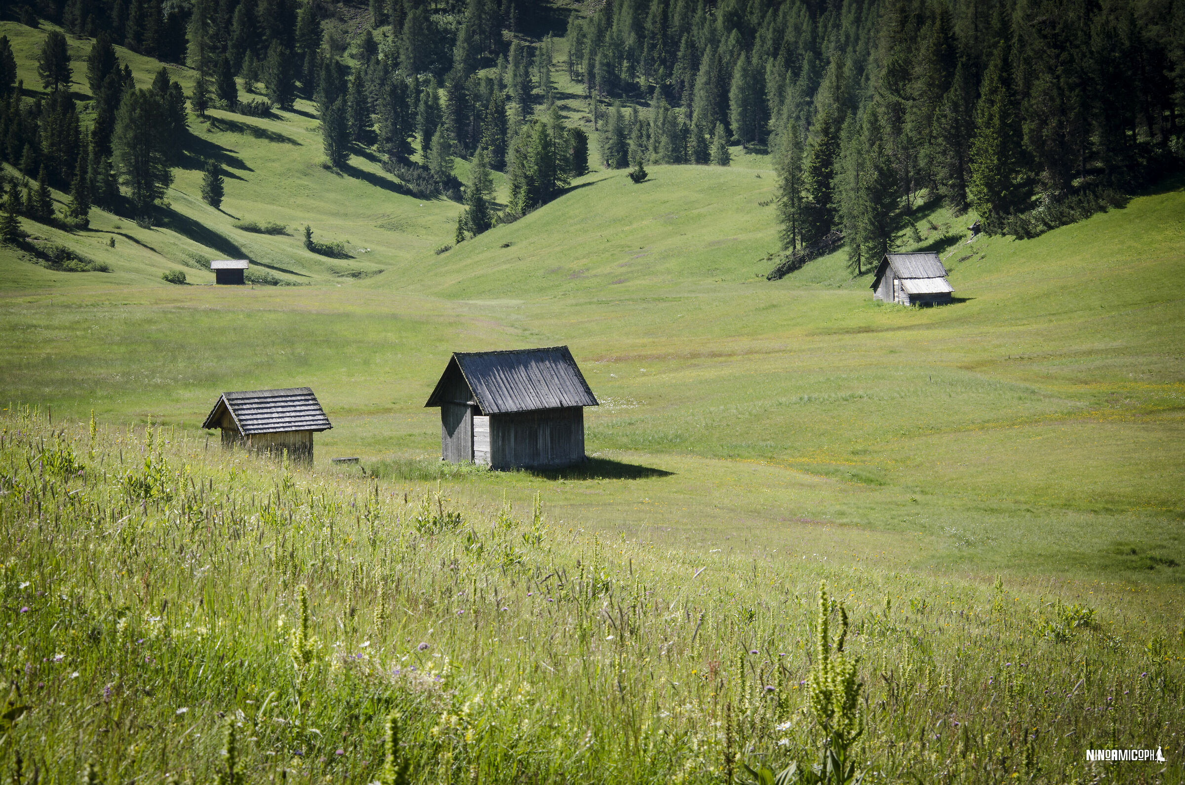 Meadow Square - Upper Pusteria - South Tyrol