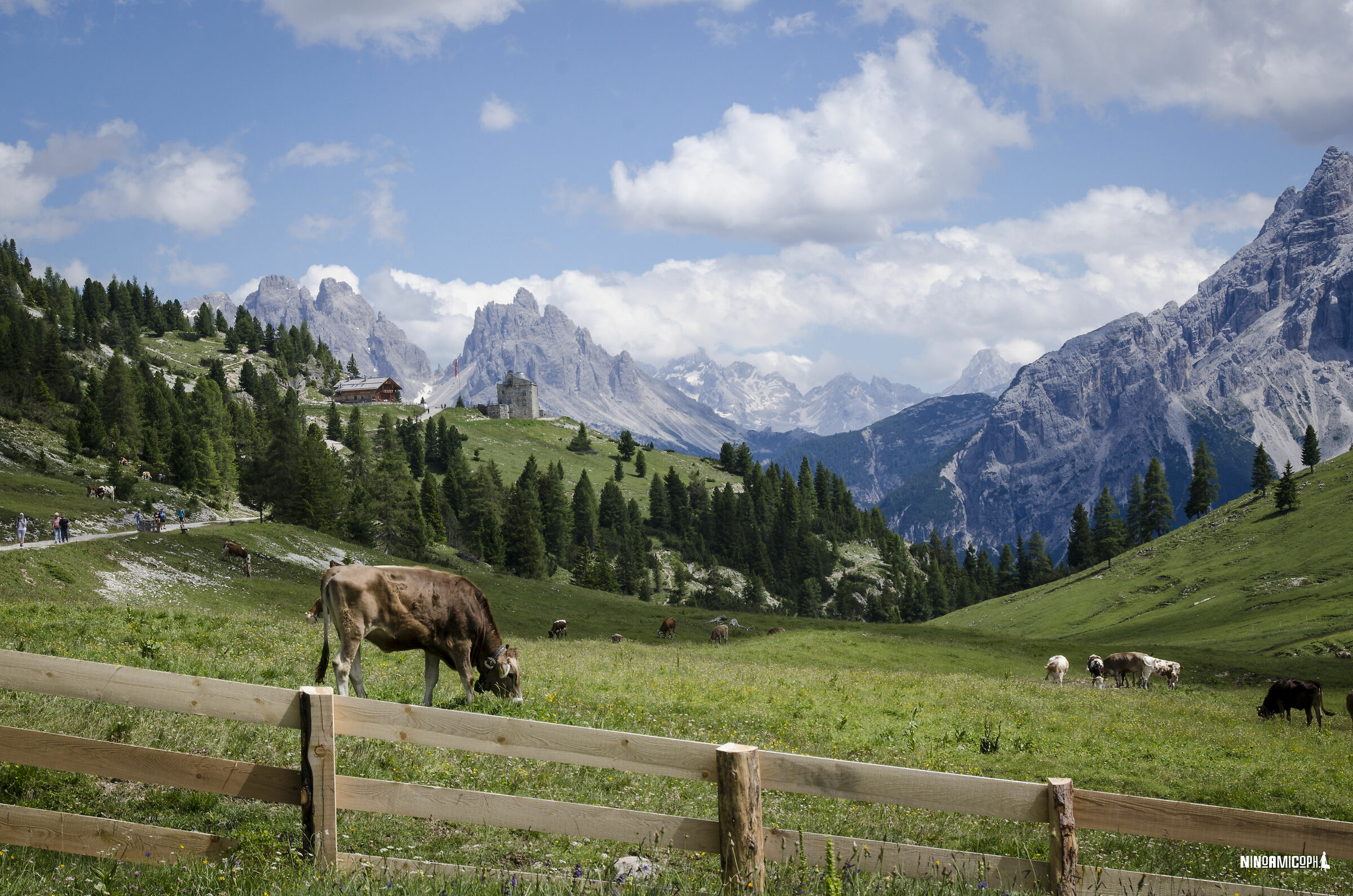 Meadow Square - Braies Valley - High Pusteria
