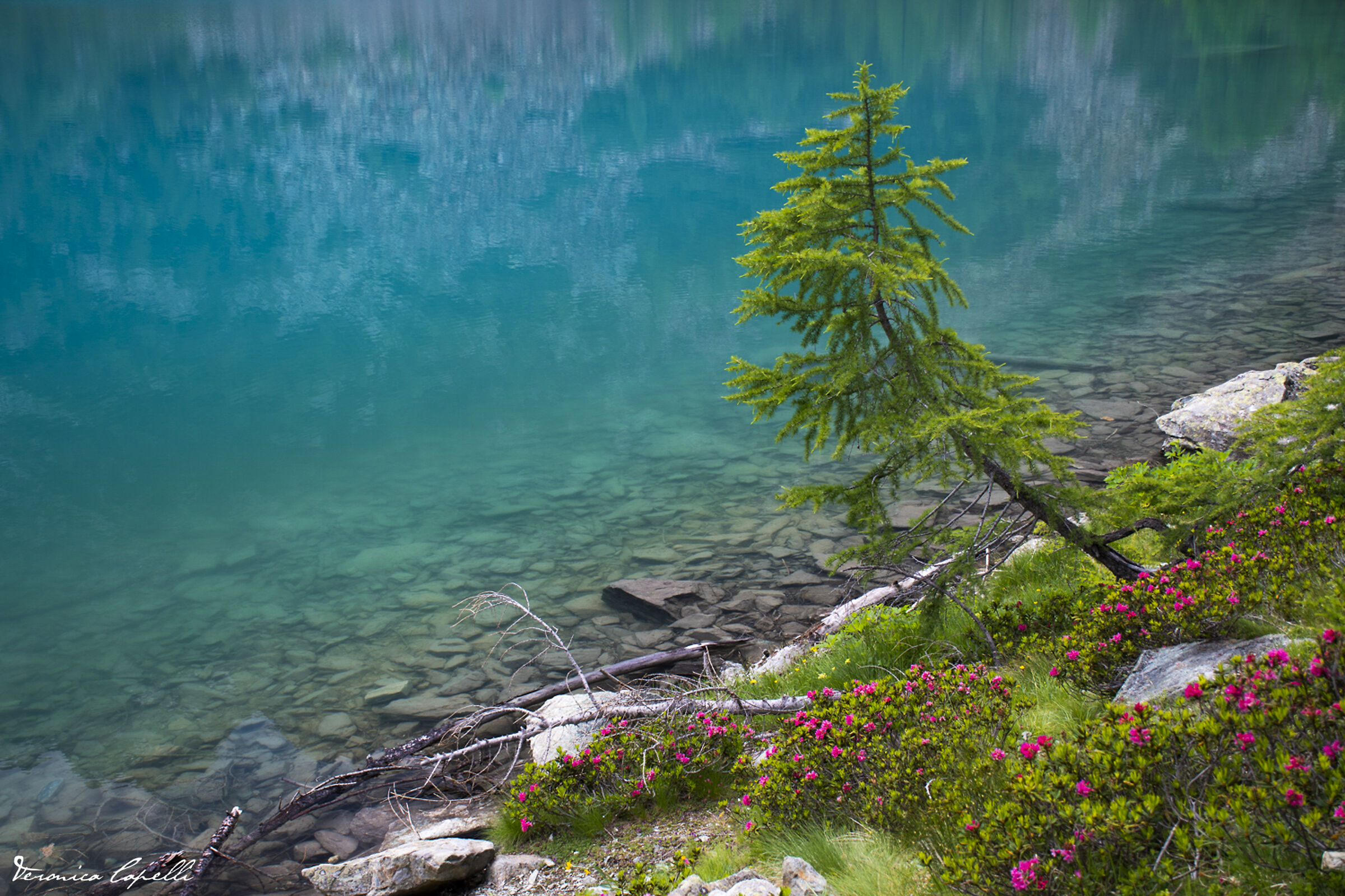 The Caribbean at 1992m