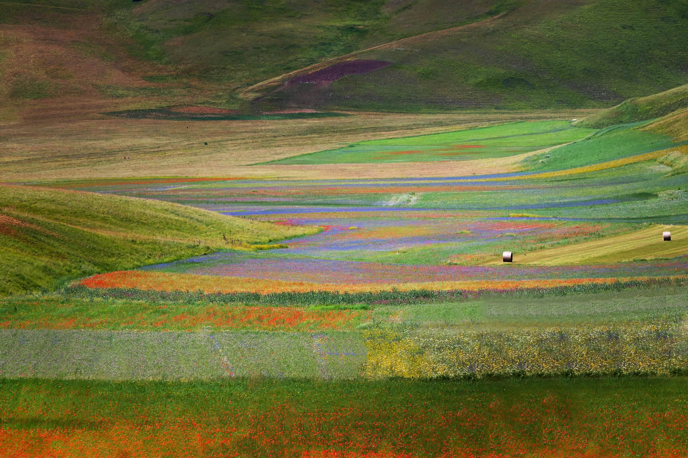 Castelluccio