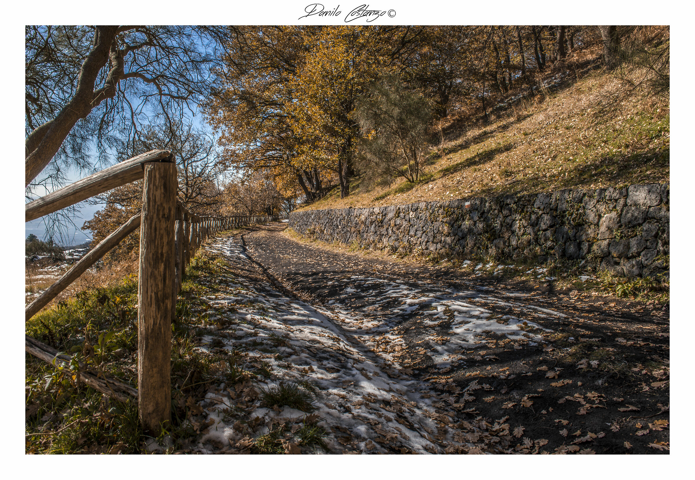 L'autunno ha fatto spazio all'interno