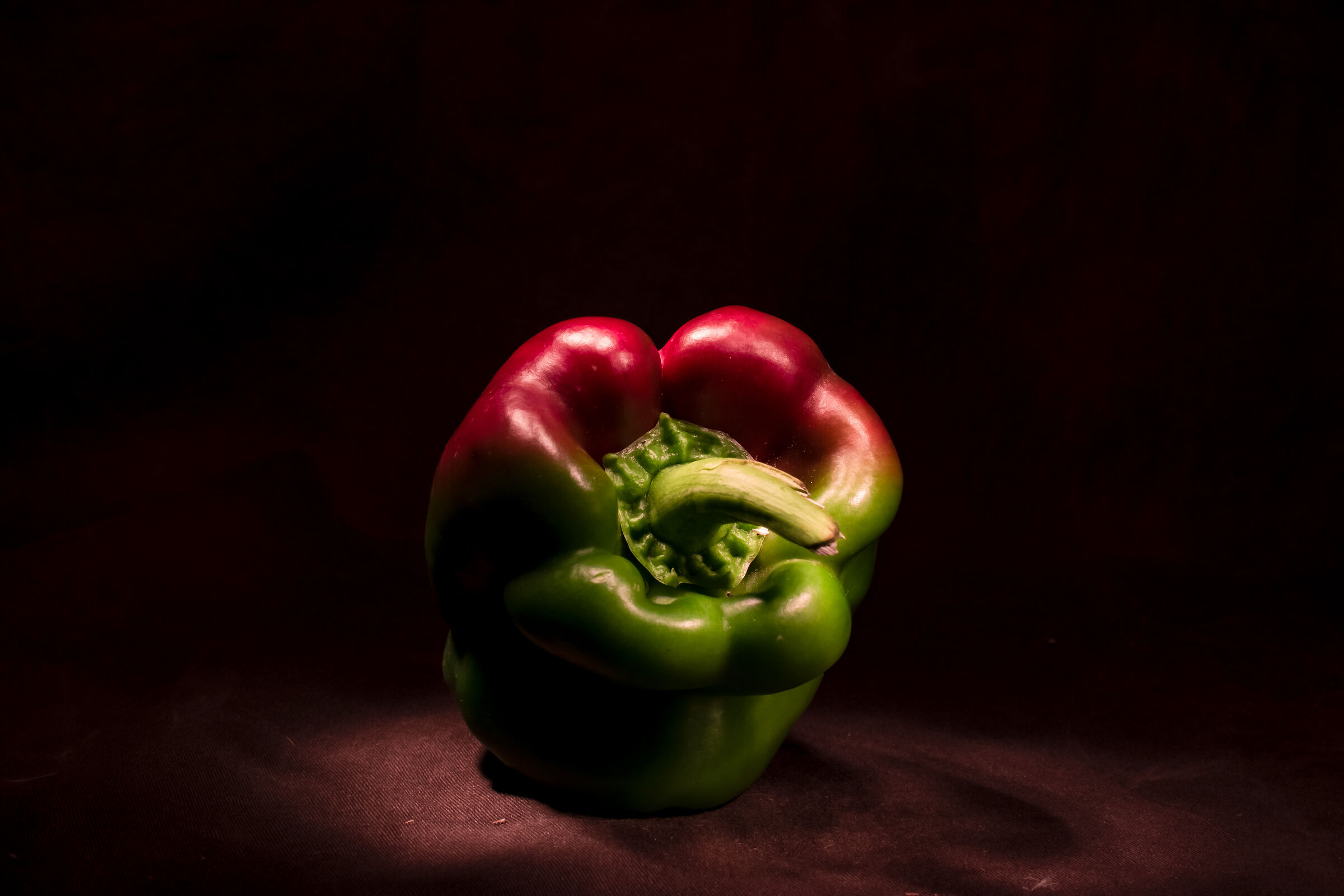 Untitled Photo