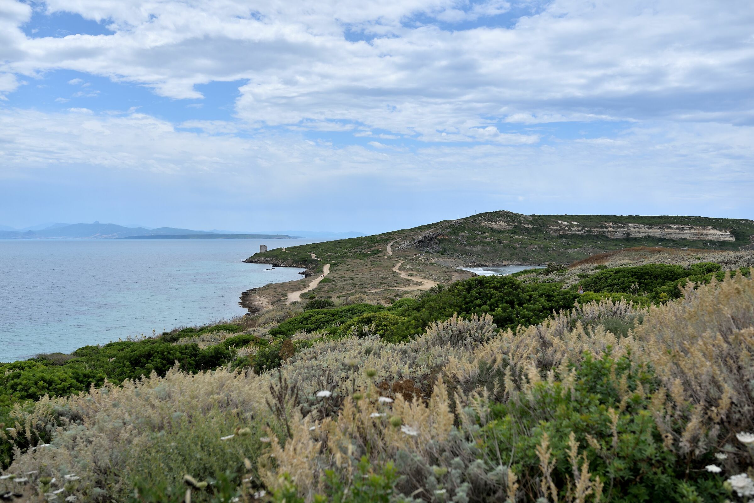 sinis bello e selvaggio