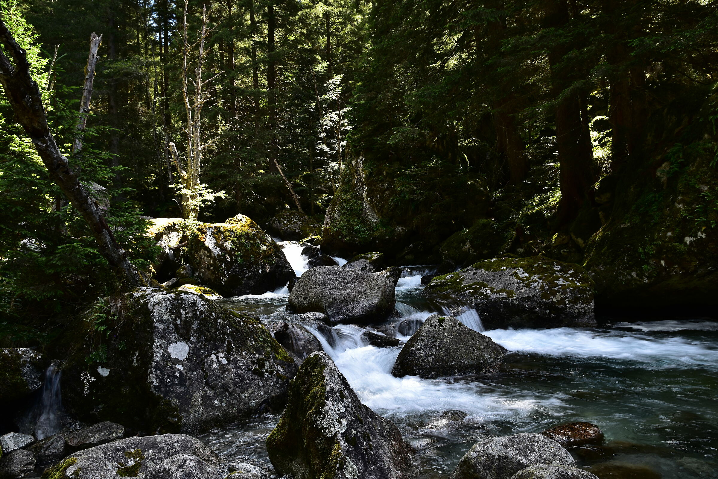 le acque incontaminate della Val di Mello