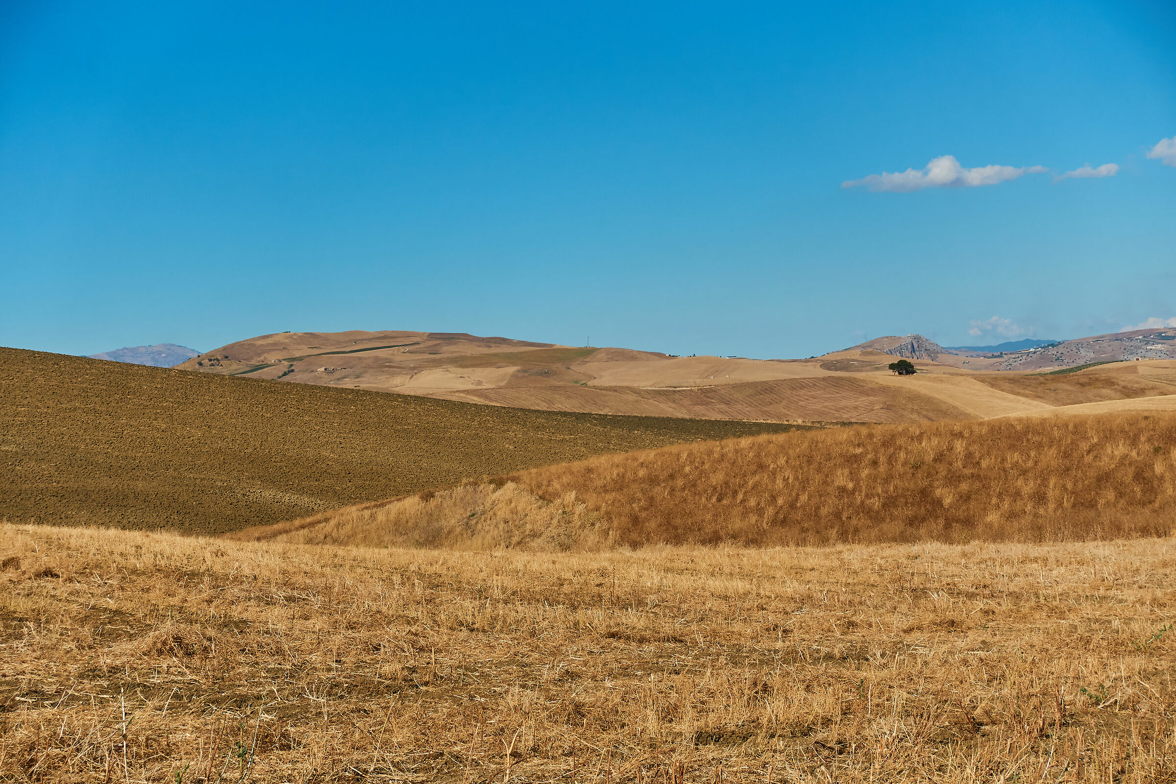 Sicilia: Estate sui campi
