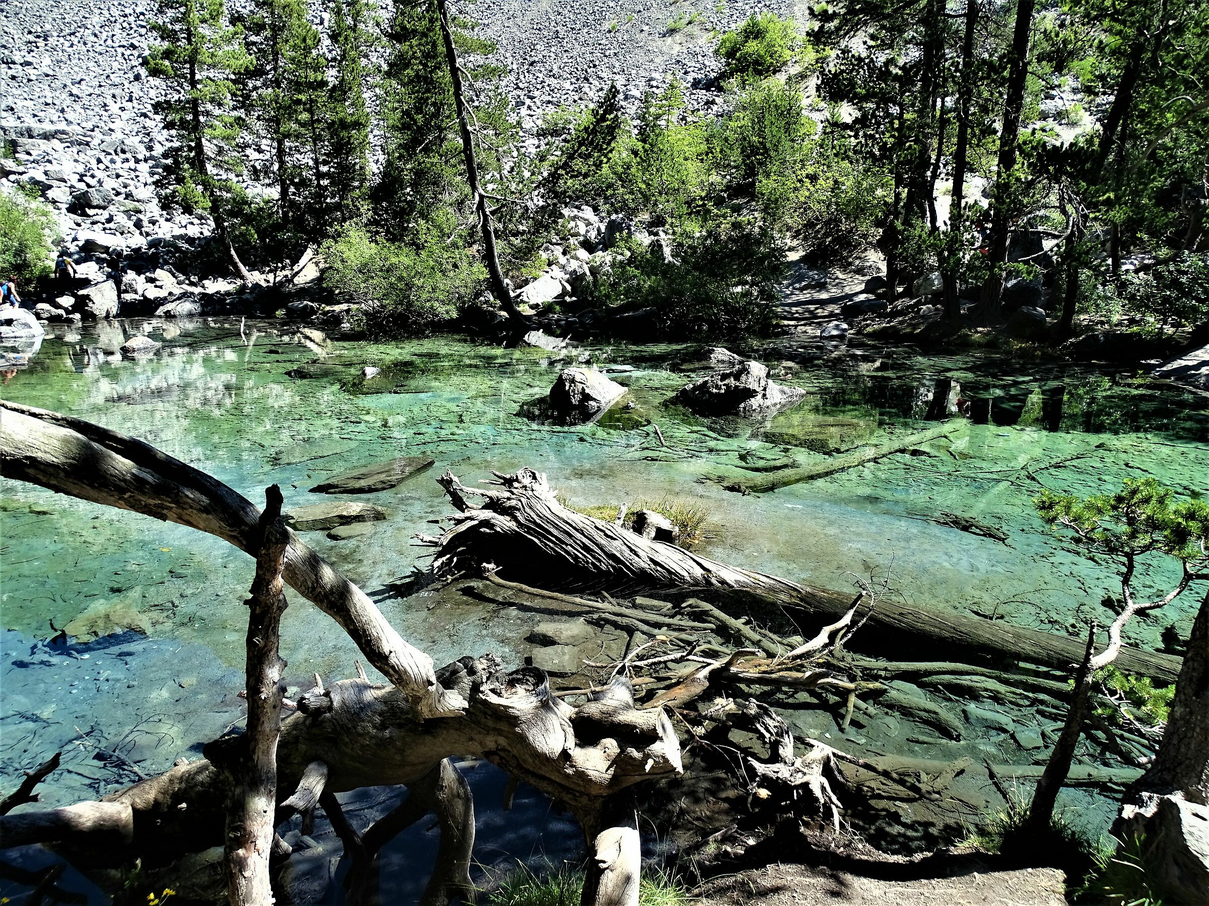 lago verde bardonecchia