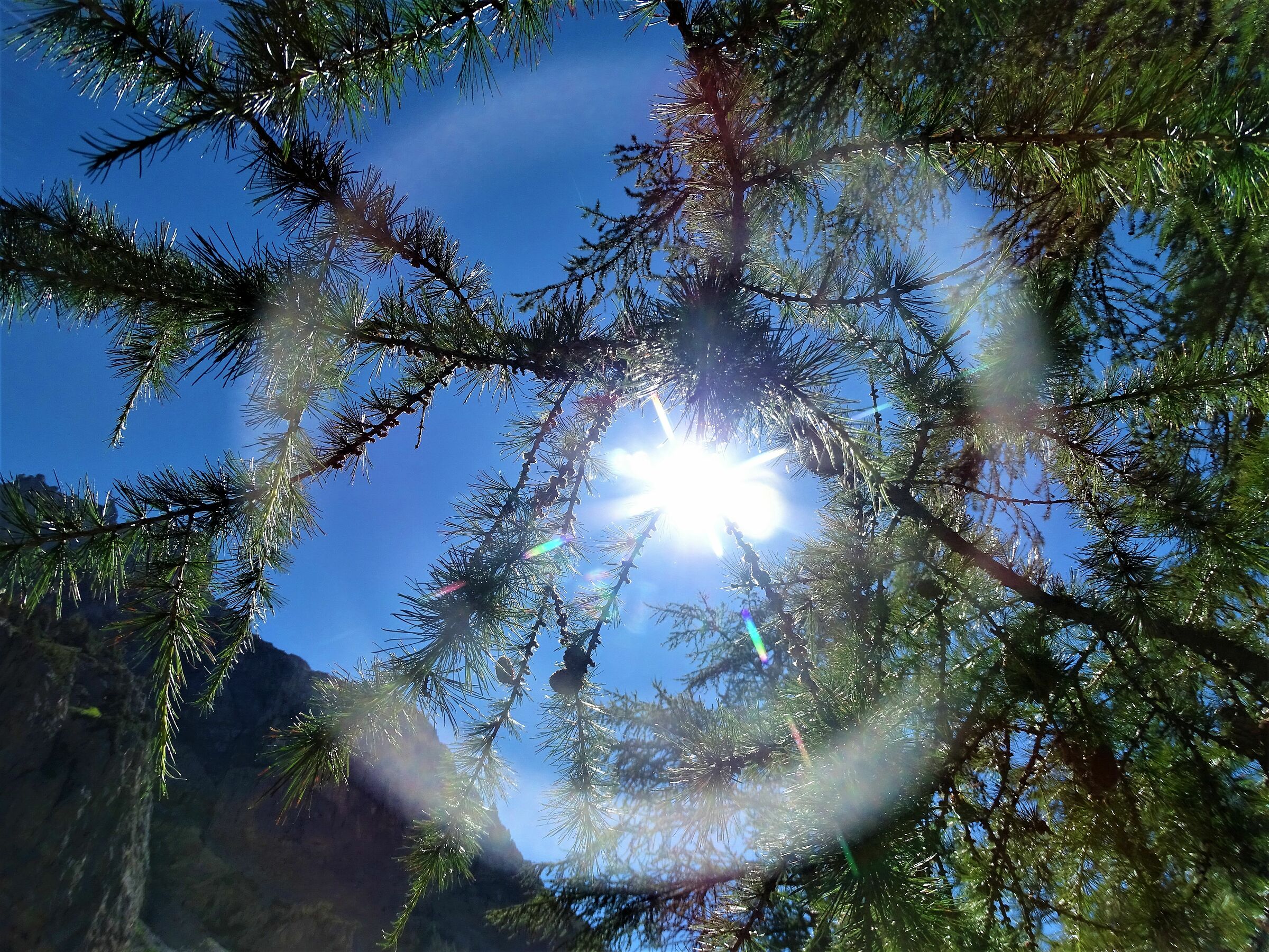 sole di montagna