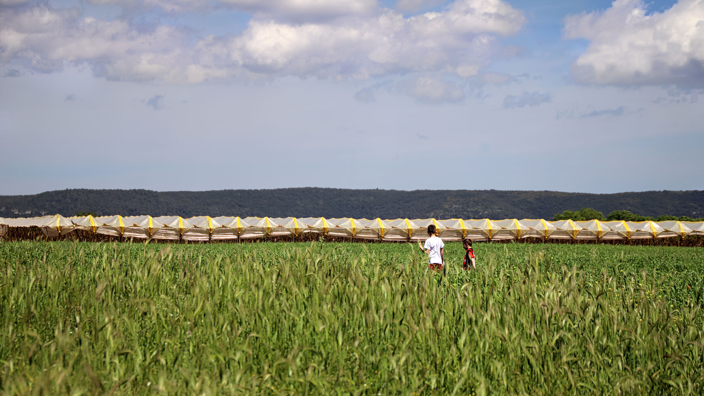 Libertà e spensieratezza!