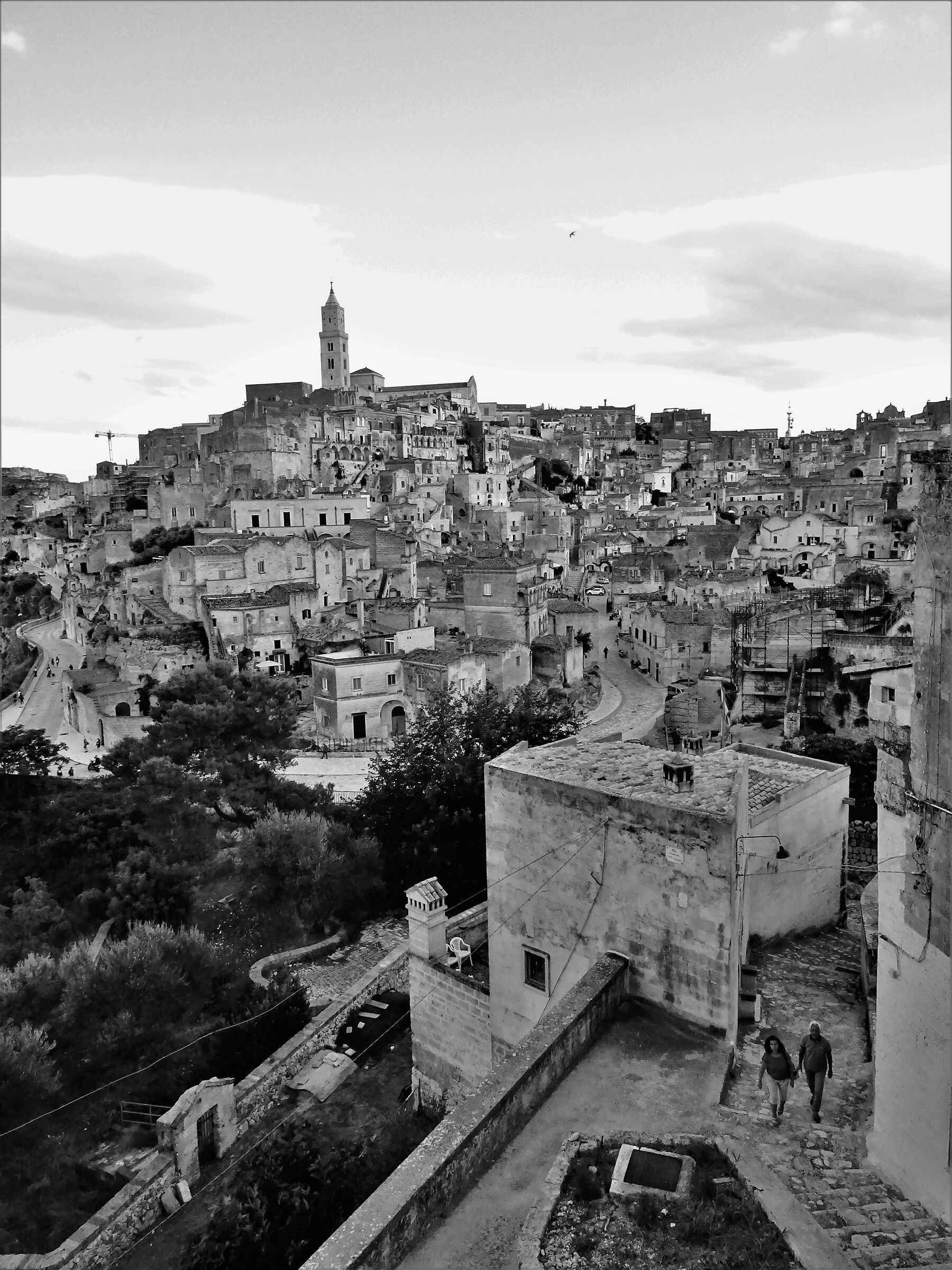 Senza Titolo