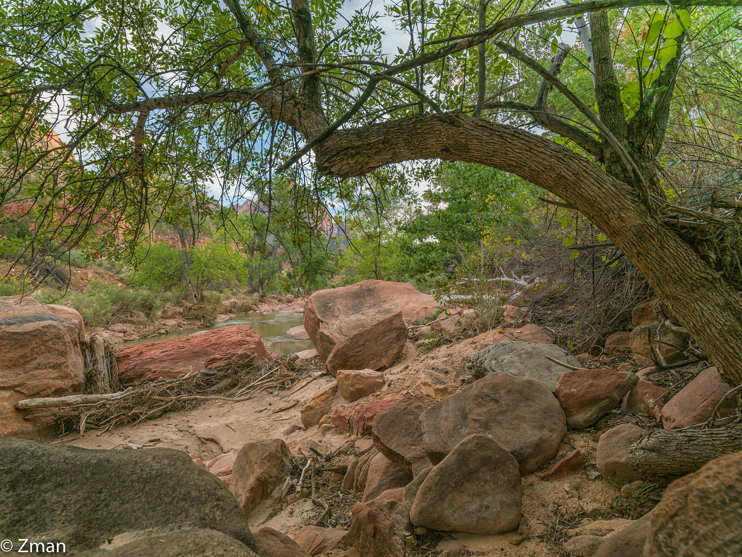 Parco nazionale di Sion