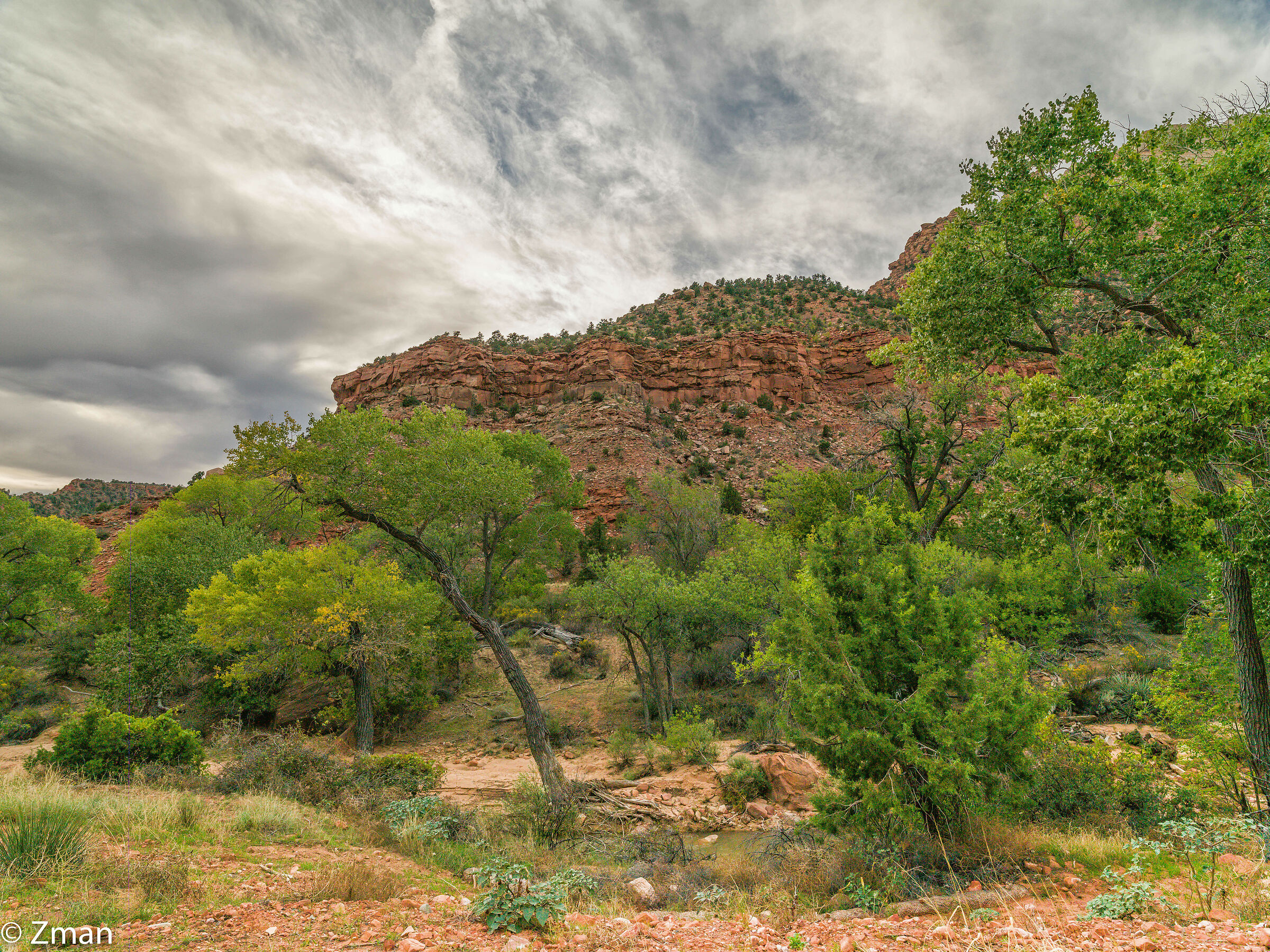 Zion National Park