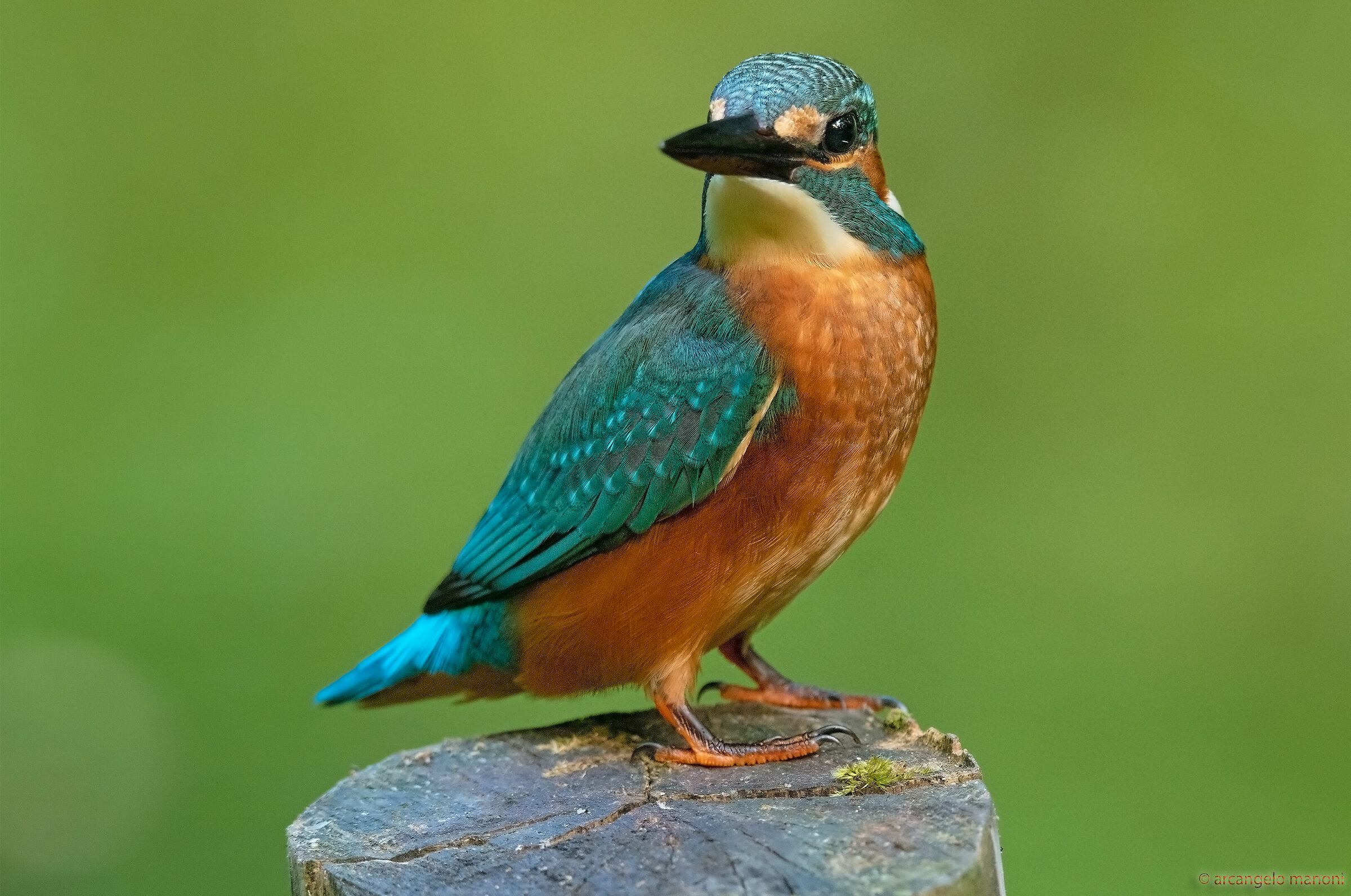 Martino as a natural supermobile