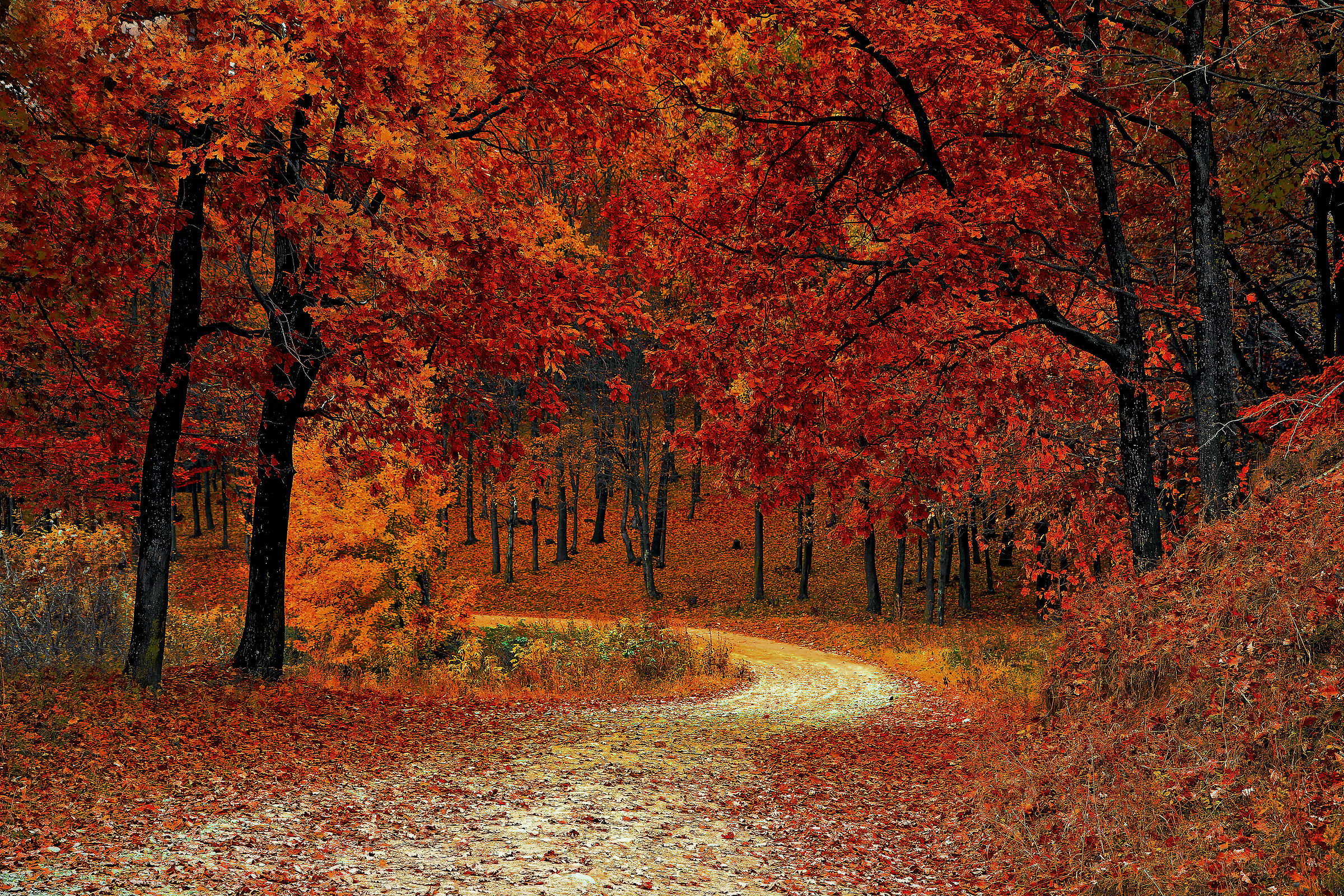 Questi giorni finiranno e poi verrà l'autuno
