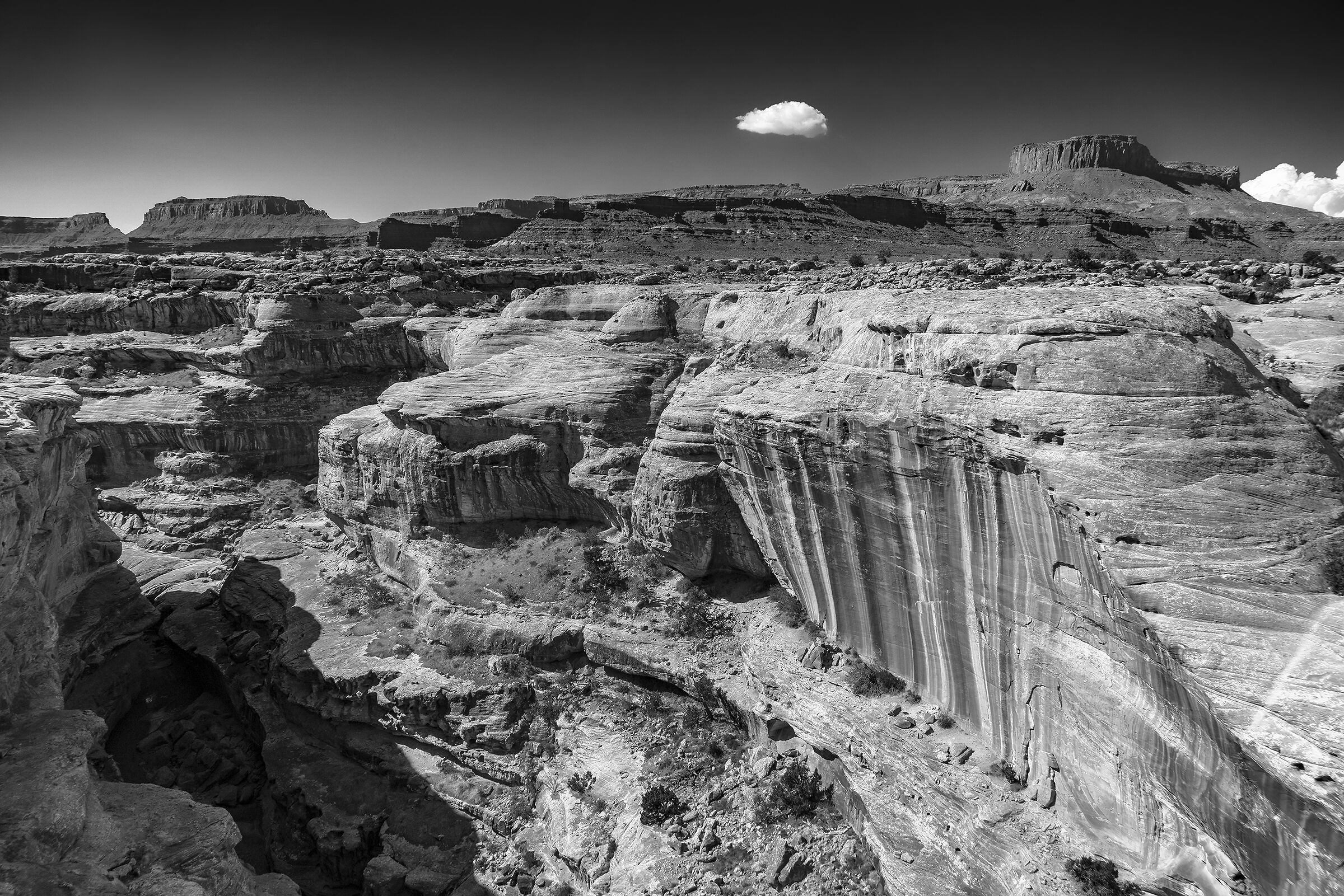 Arizona