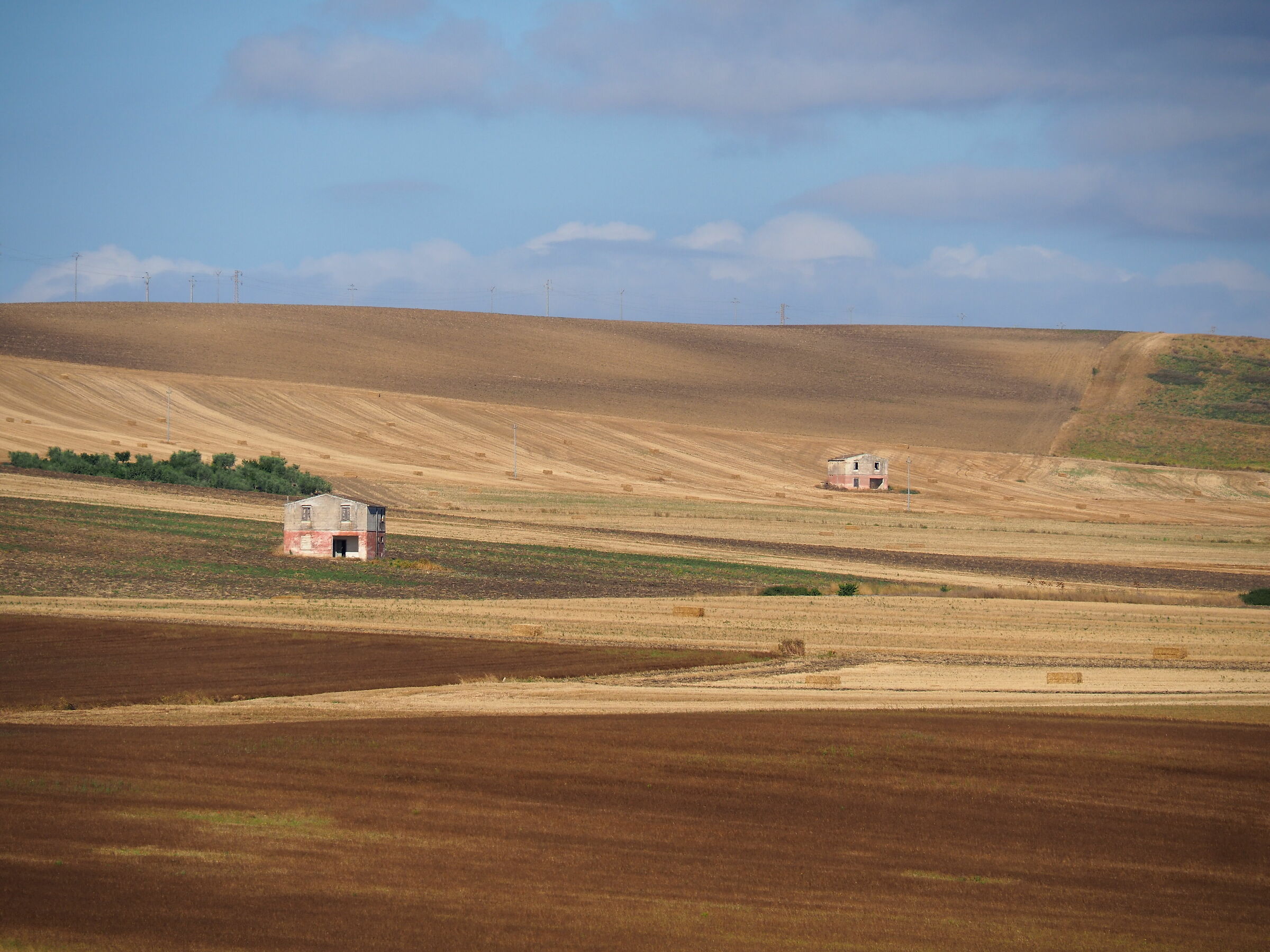 Paesaggi dell'Alta Murgia