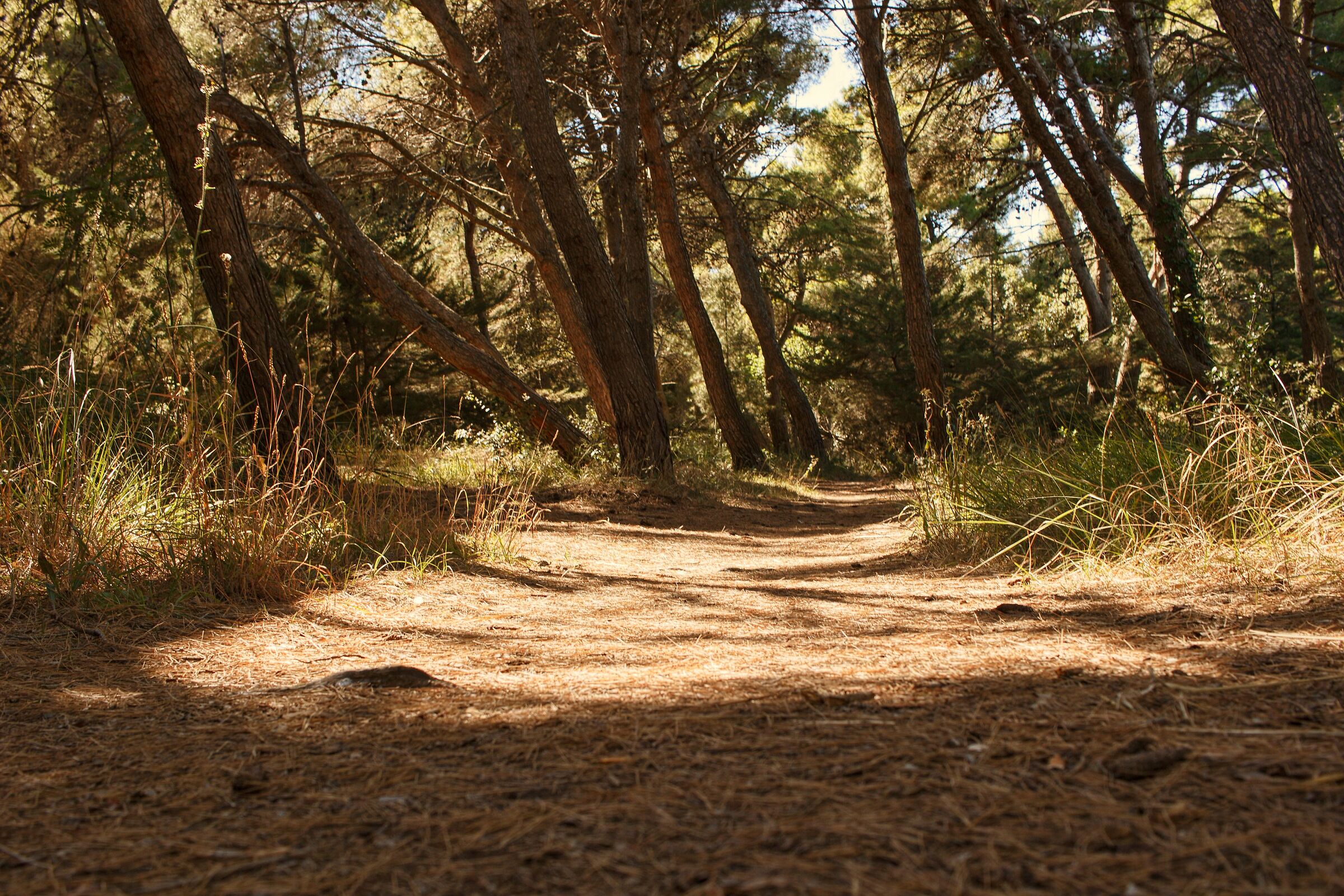 Mare o montagna? (2)