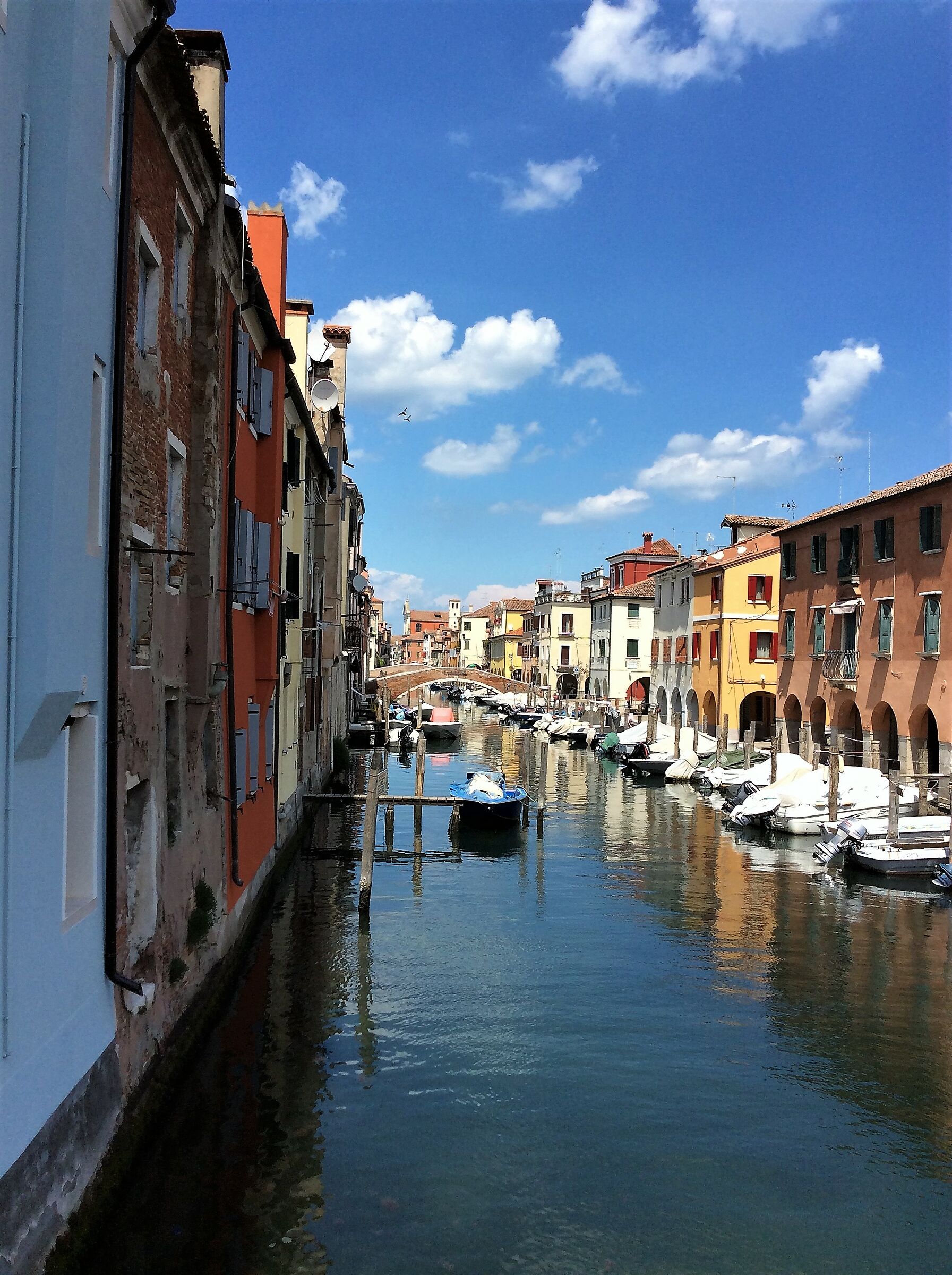 chioggia