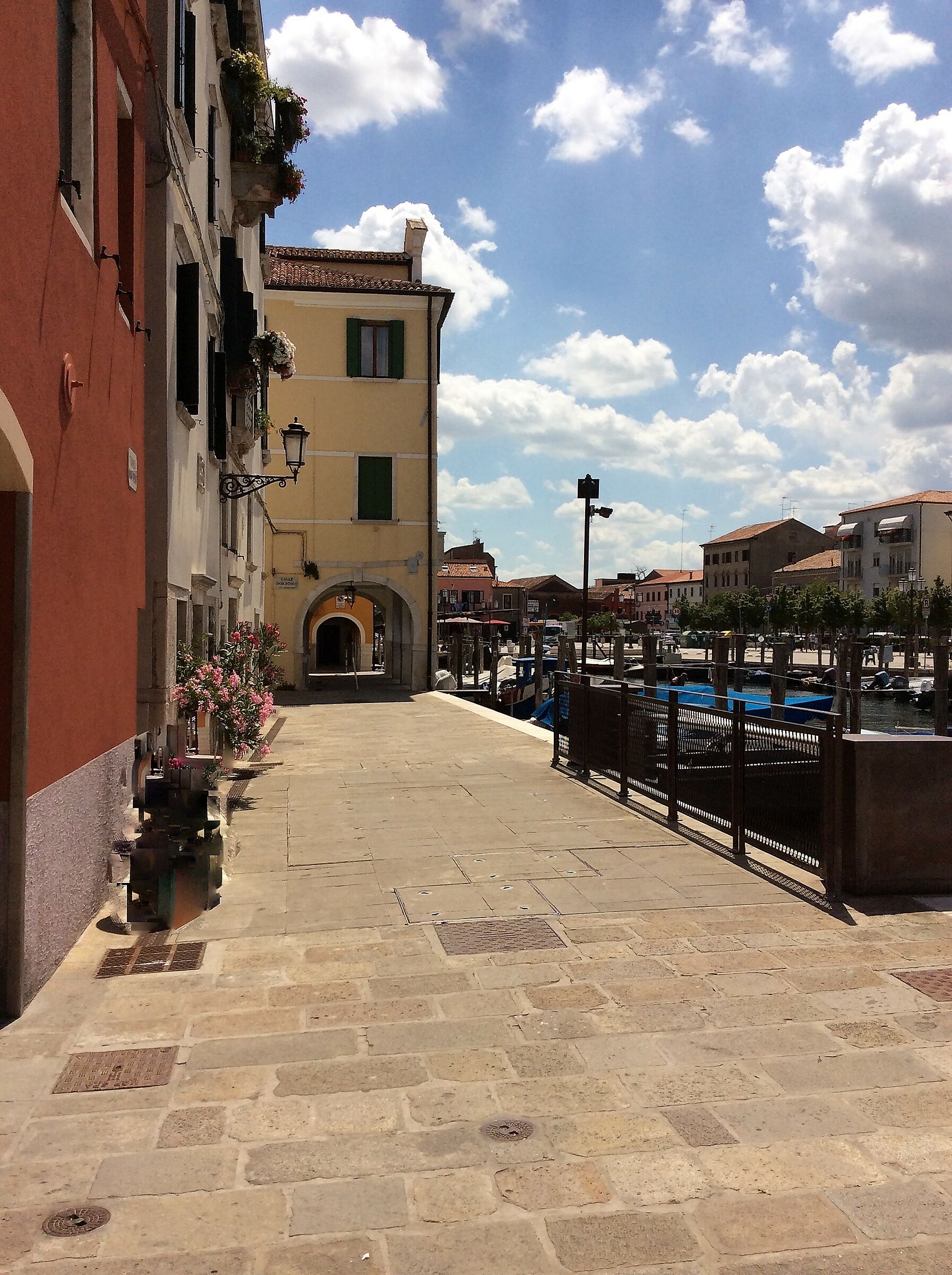 chioggia