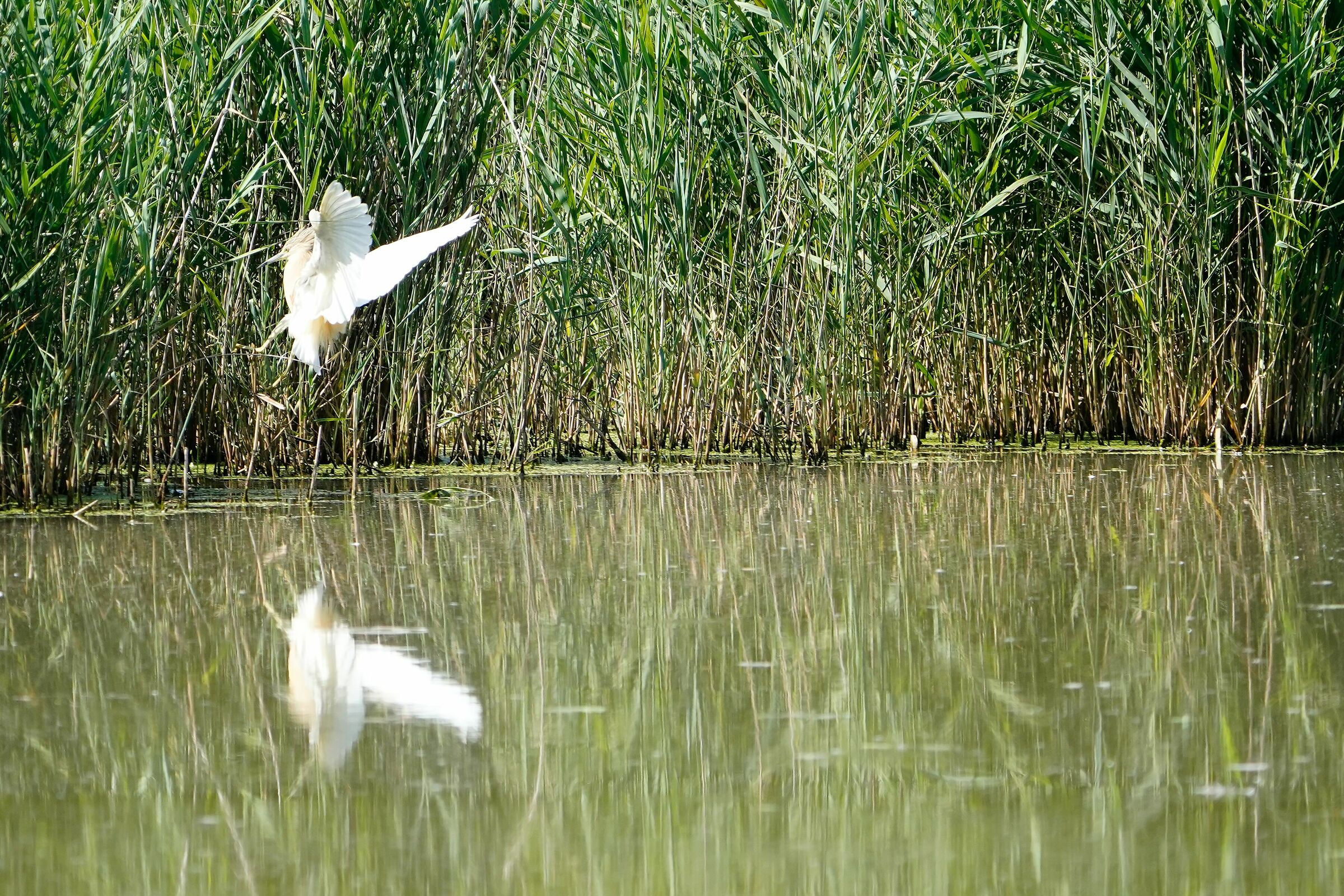 I broke the freeeeniiiiiii