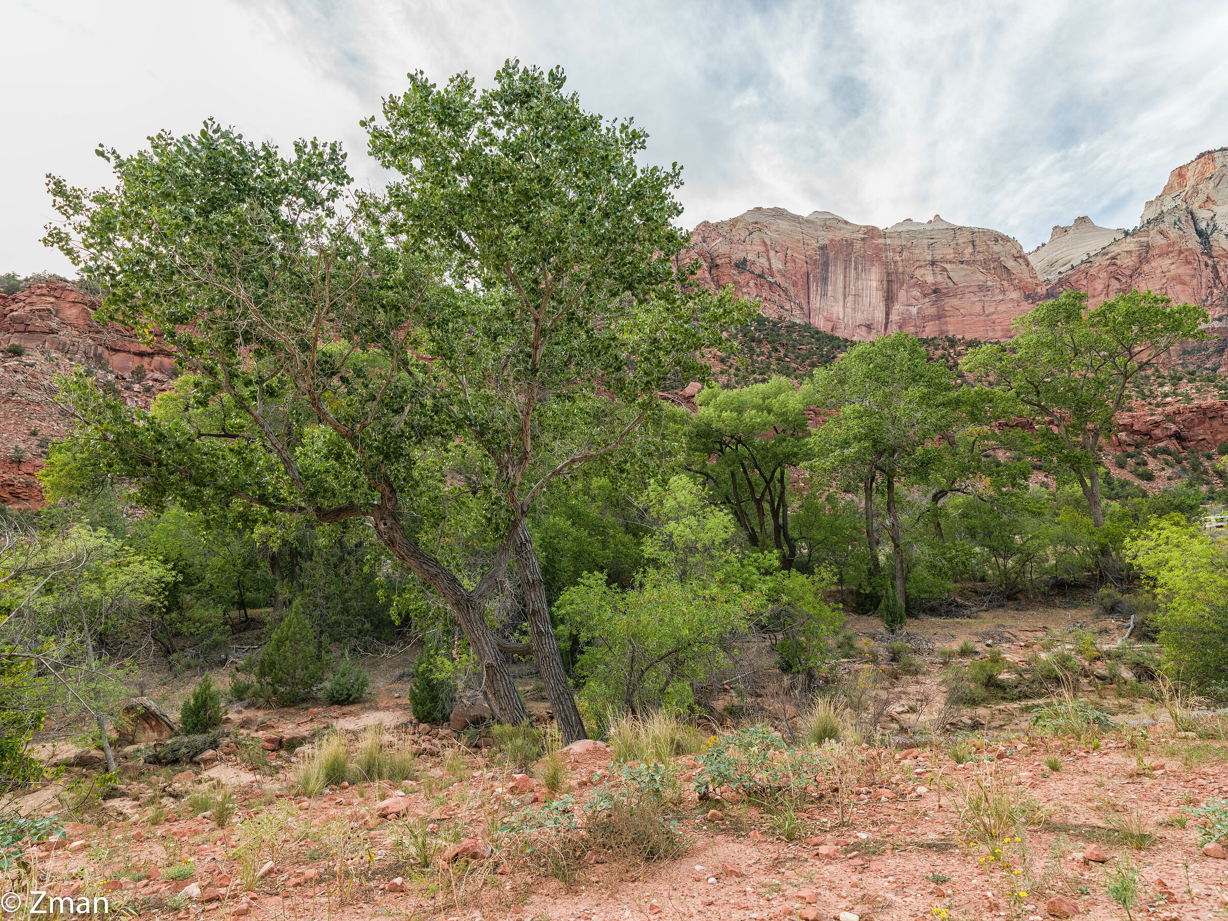 Zion National Park