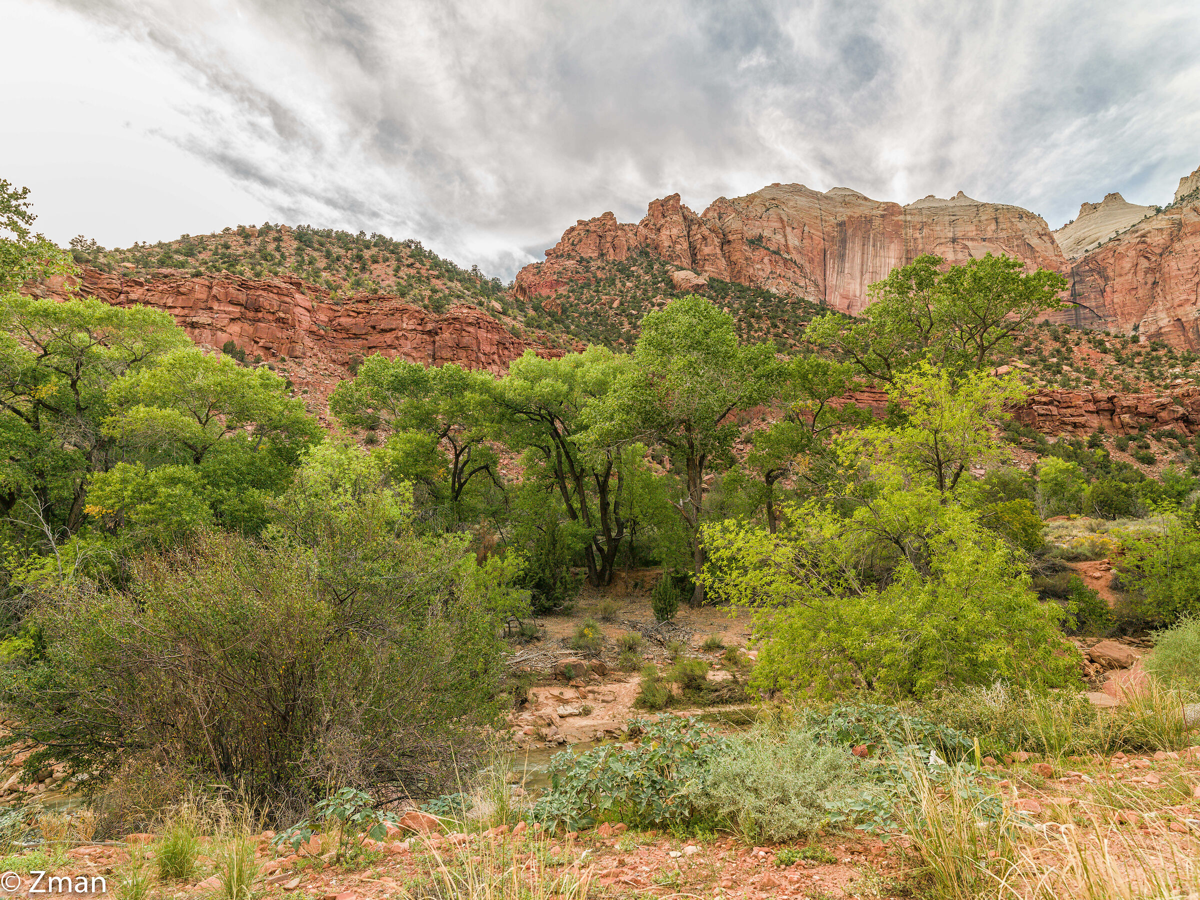 Zion National Park
