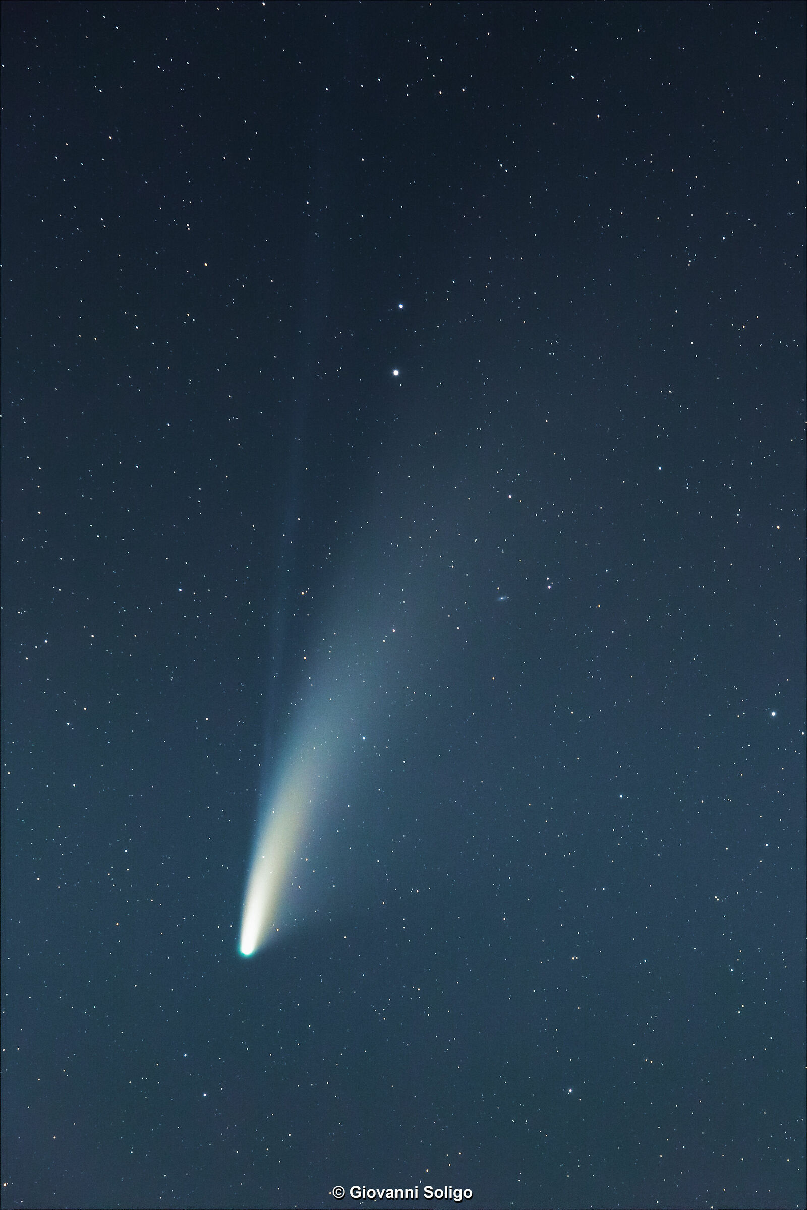 Cometa Neowise c/2020 F3 e la galassia ngc2841