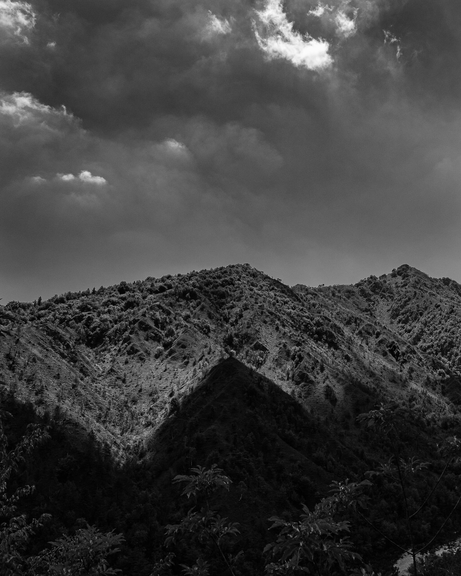 Panorama in B&W