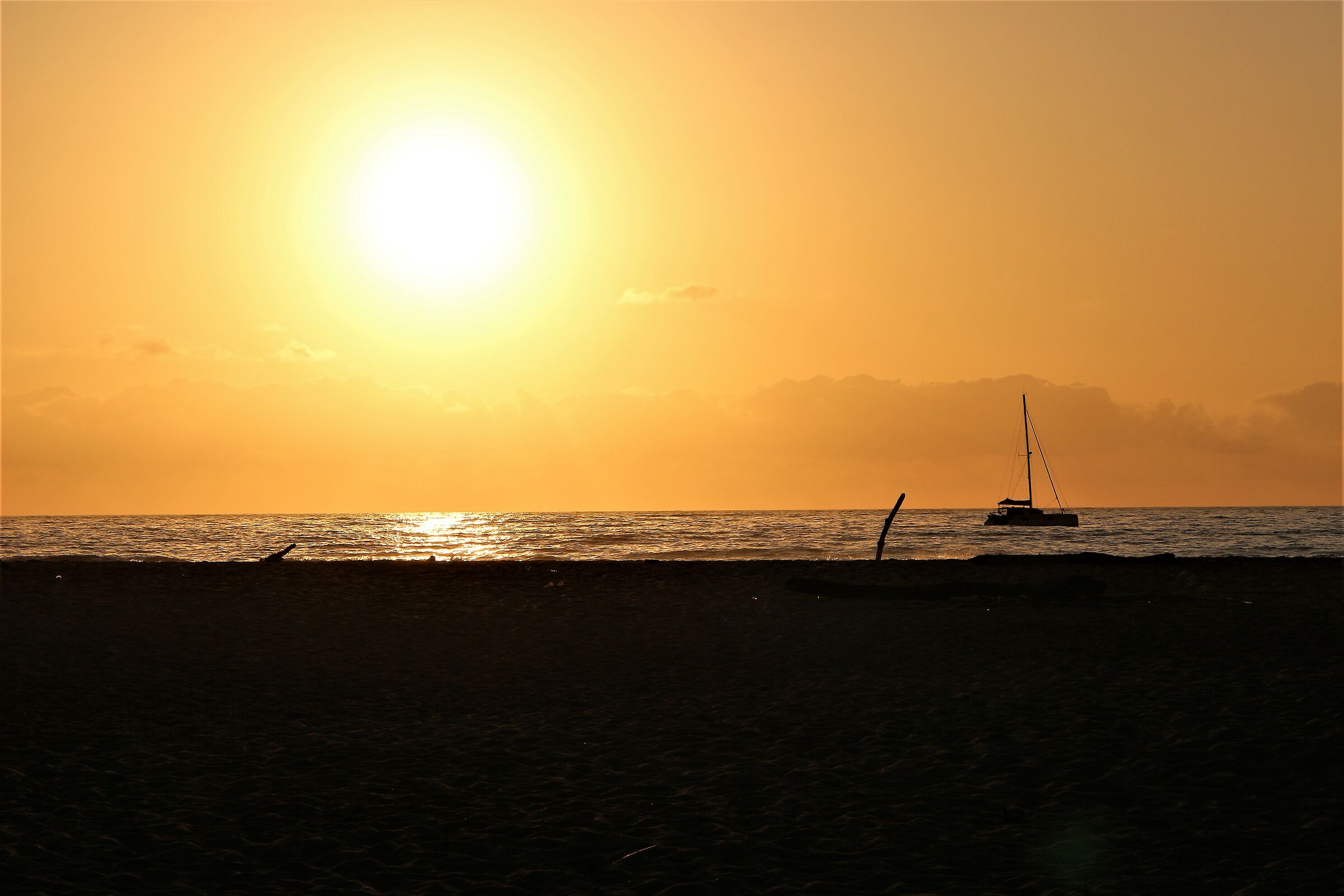 Swimming at sunset 01