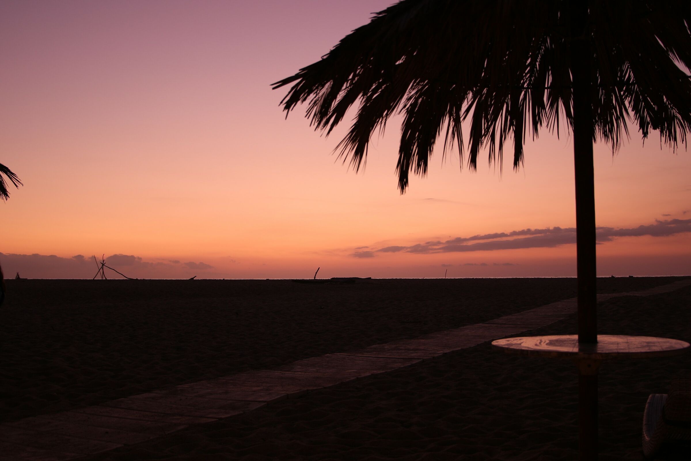 Swimming at sunset 03