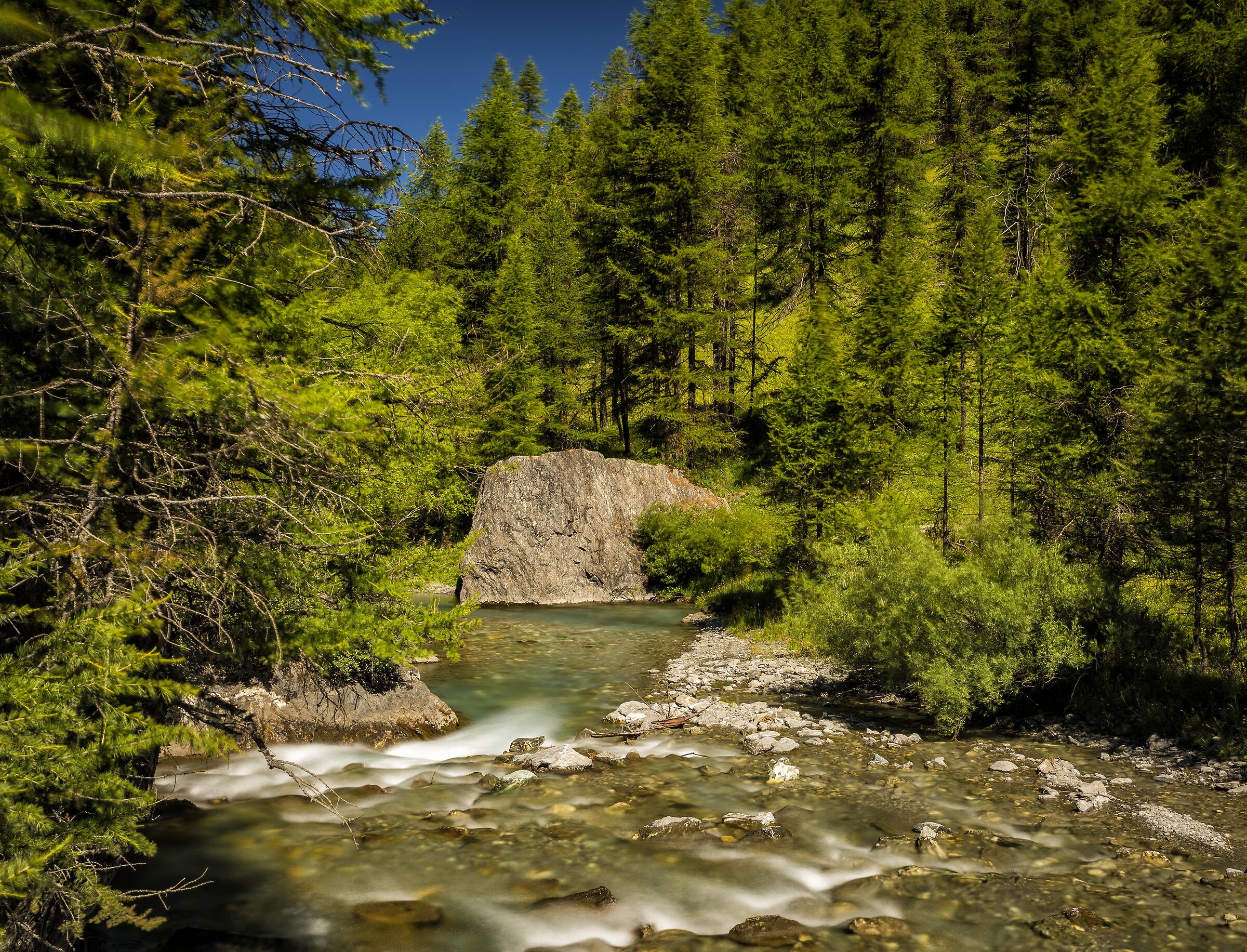 Torrente in Val Argentera