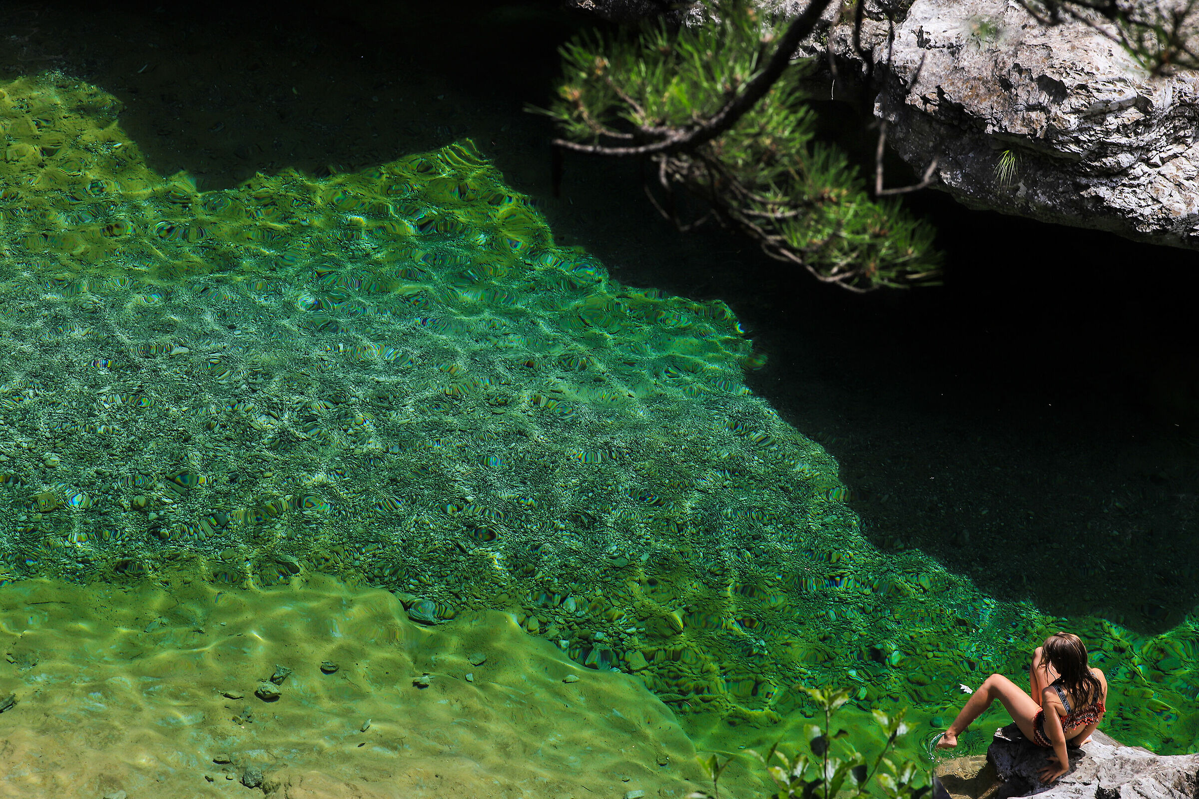 The Mermaid of emerald waters