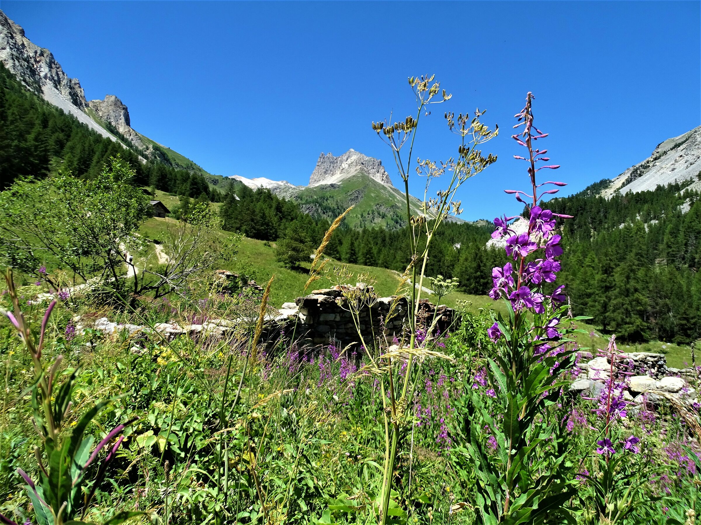 la montagna...
