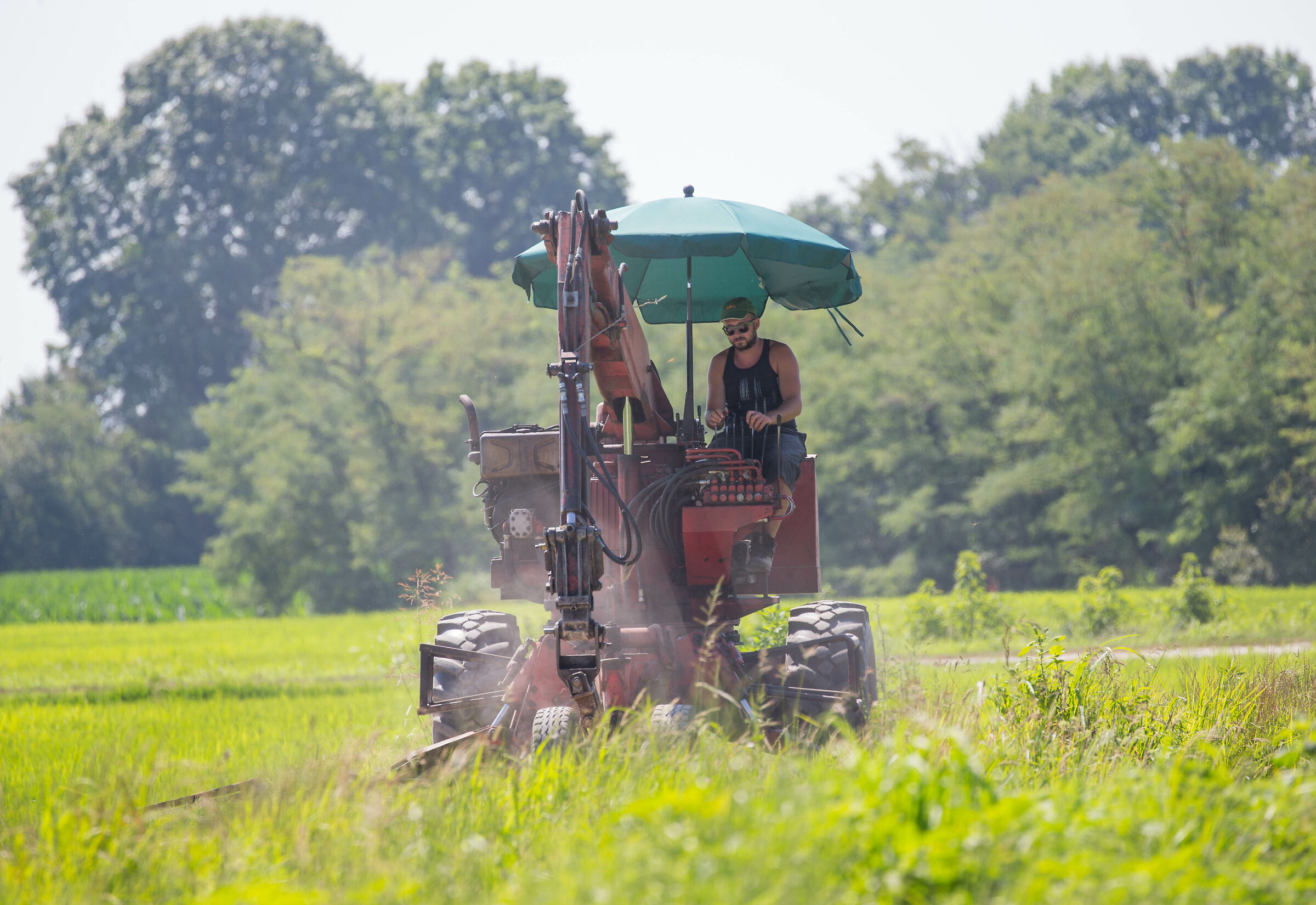 If you can't go to the sea.... At least go to work