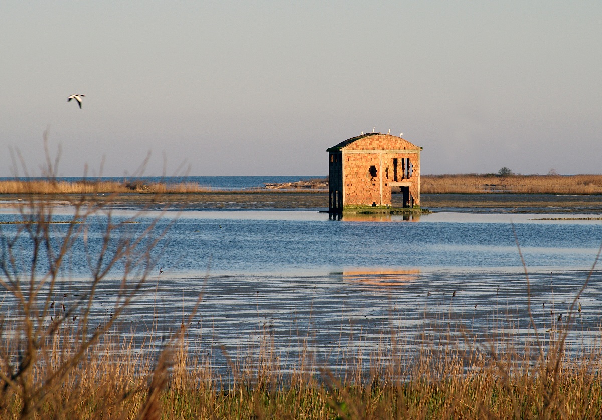 Lagoon in the Po Delta