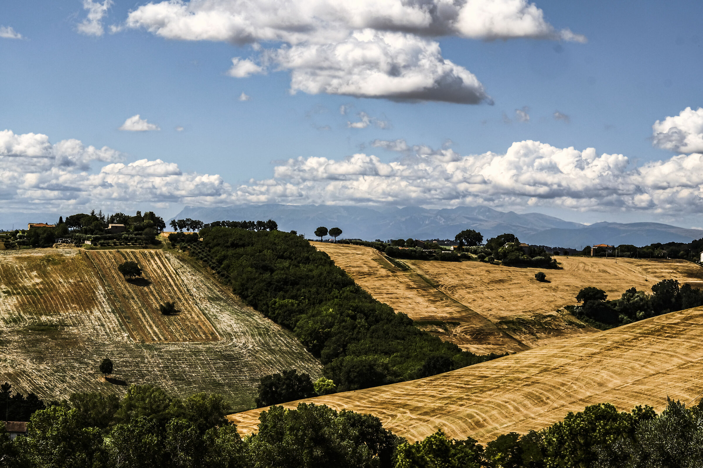 campagna di casa mia