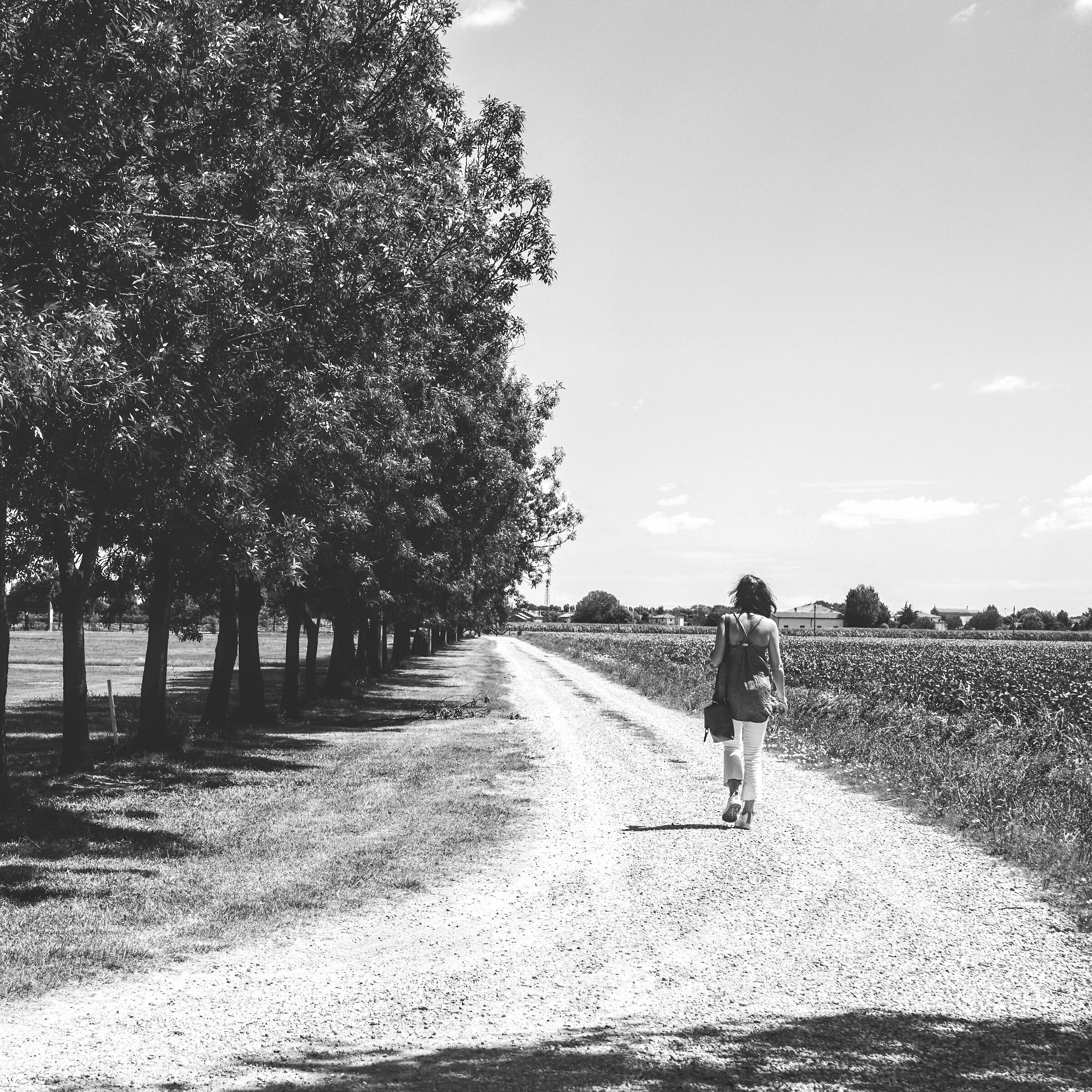 Easy like Sunday Morning