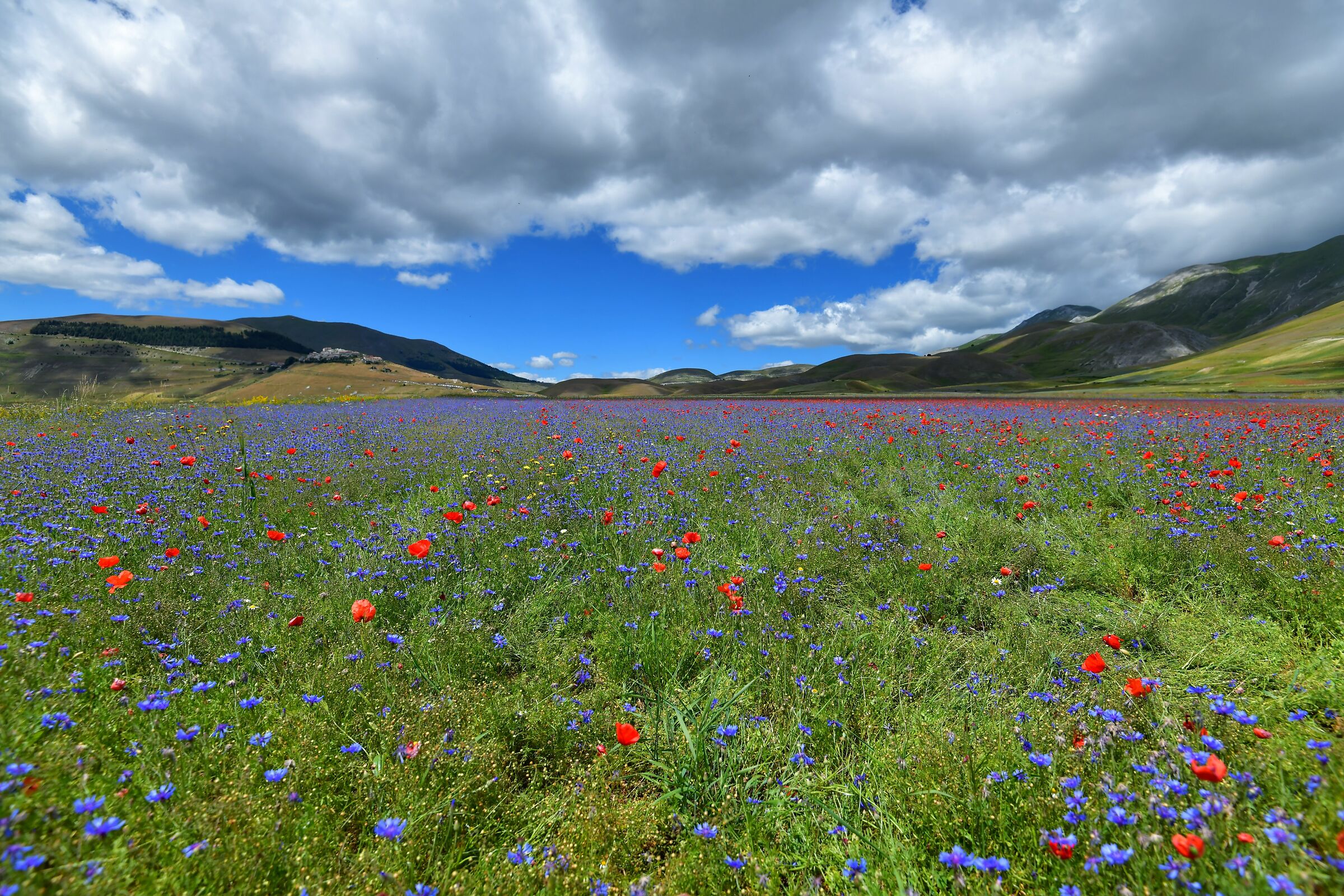 Castelluccio di Norcia