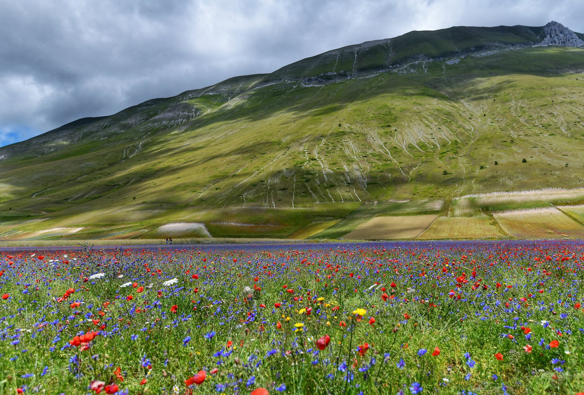 Castelluccio di Norcia