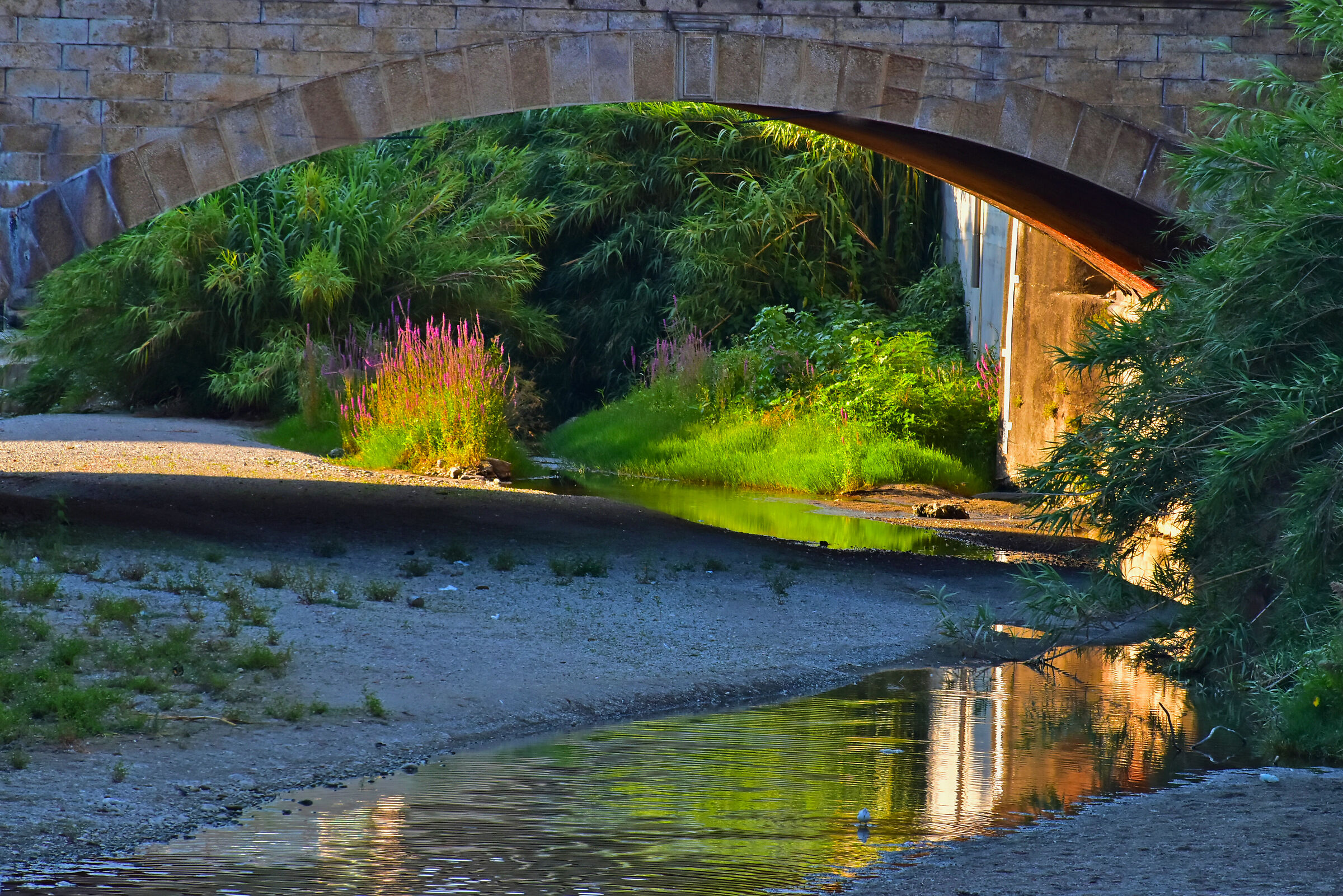 Magie sotto i ponti ..