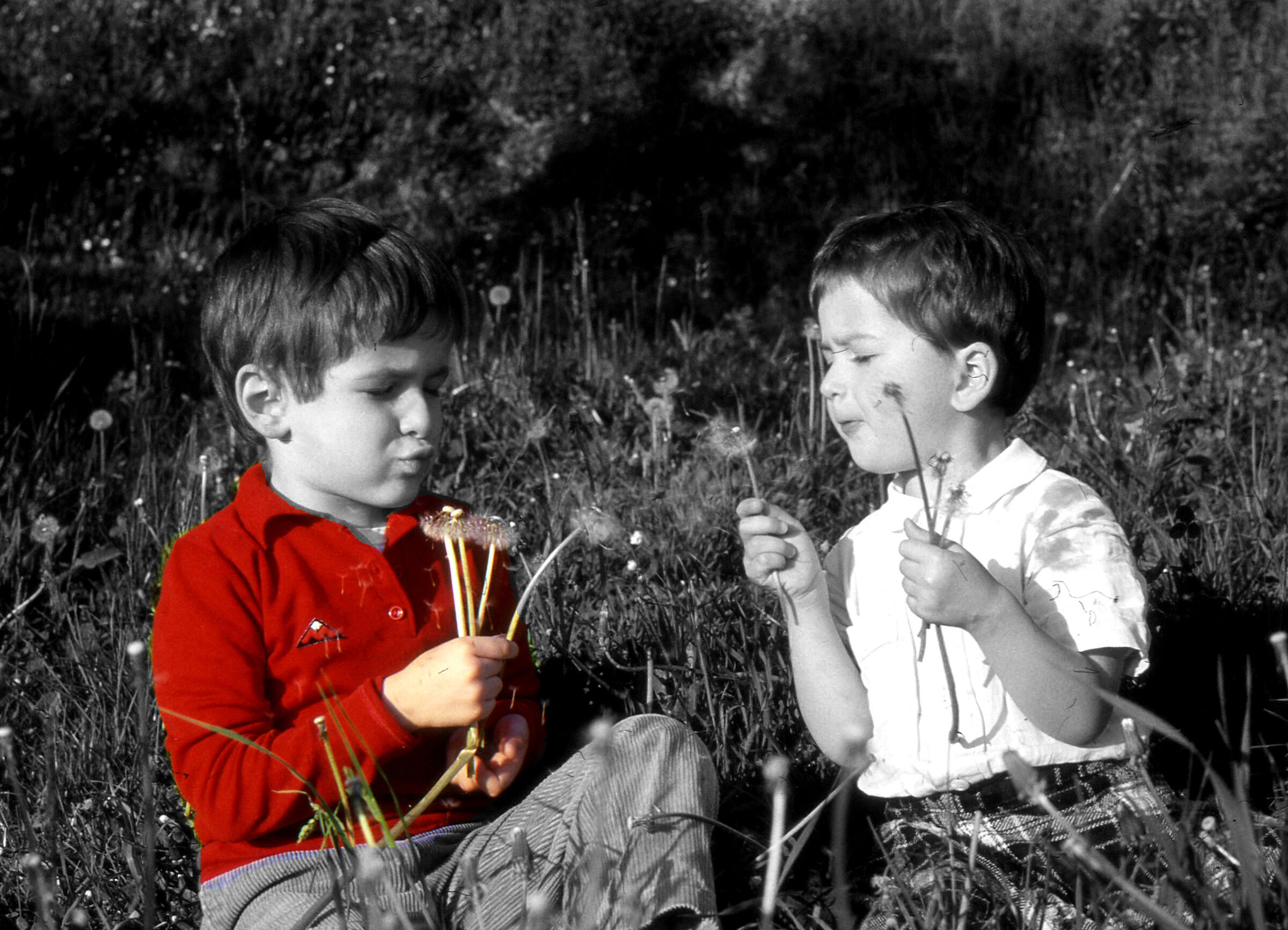 Family album - Birthday rehearsals -