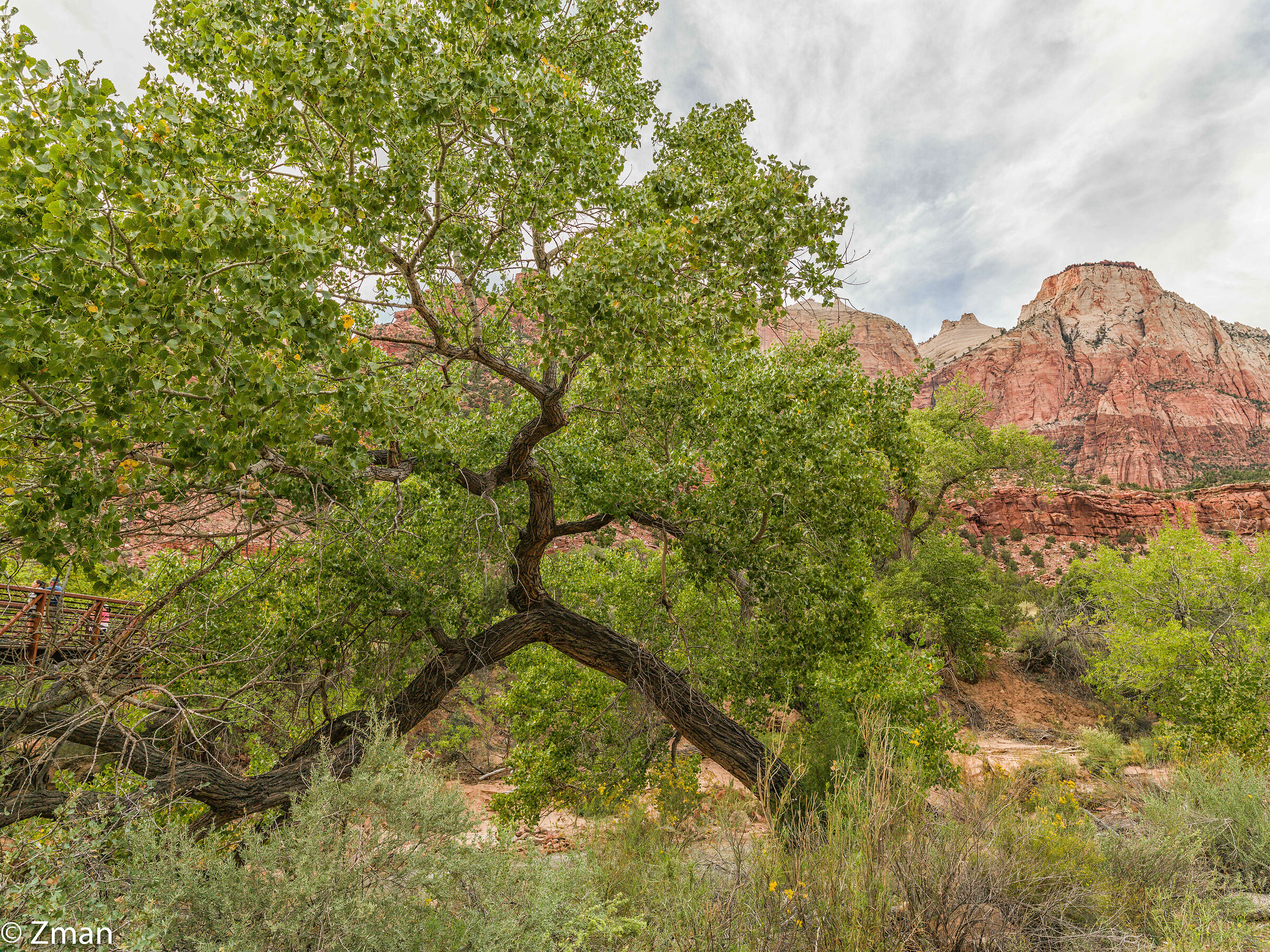 Zion National Park