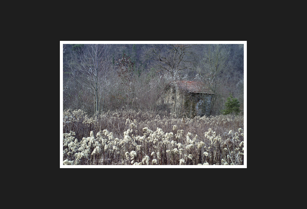 ruin in val bormida, 2016