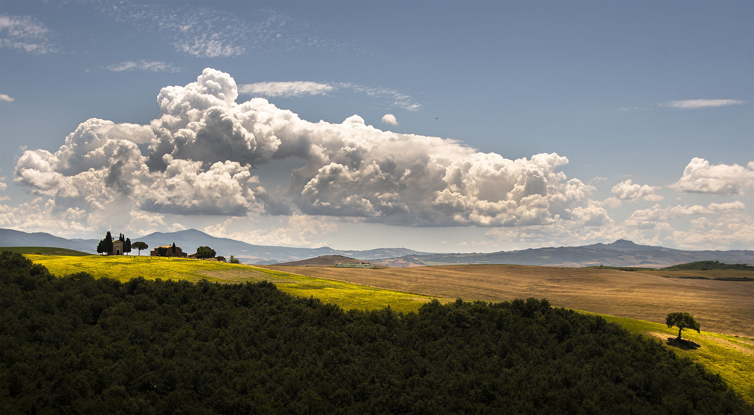 Tra Vitaleta e l'albero