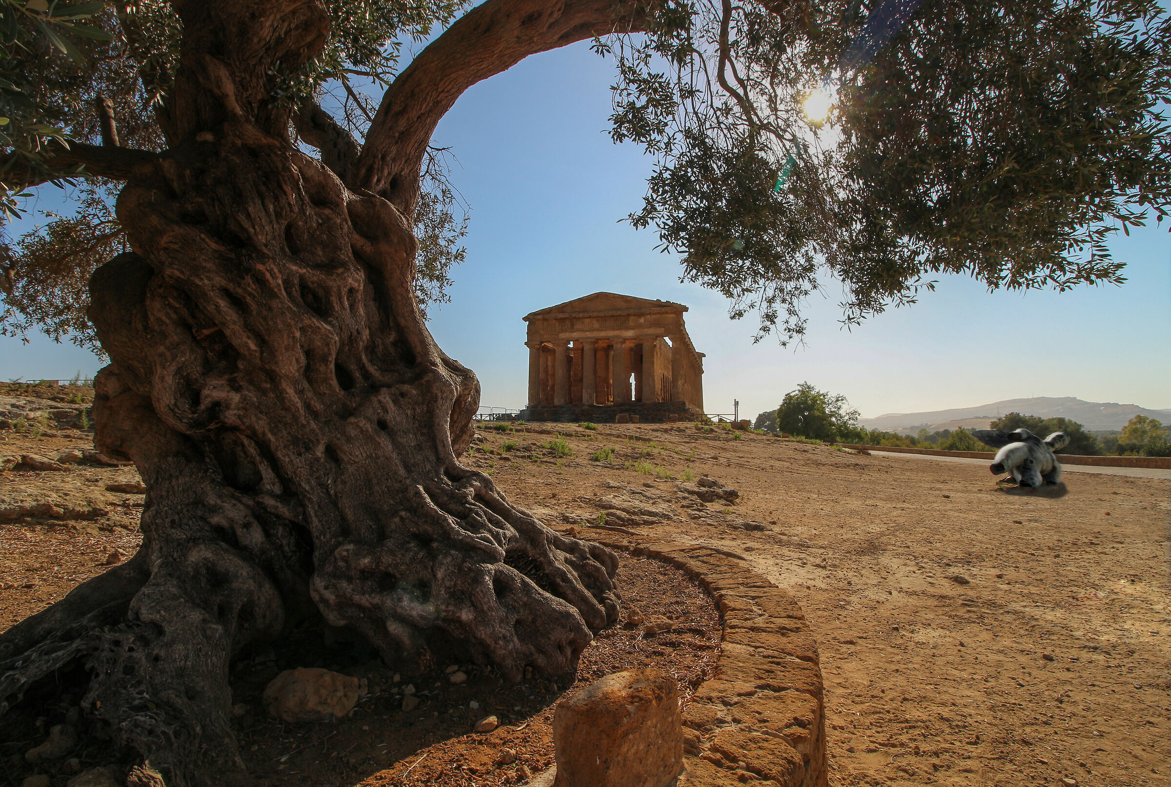 Tempio della Concordia