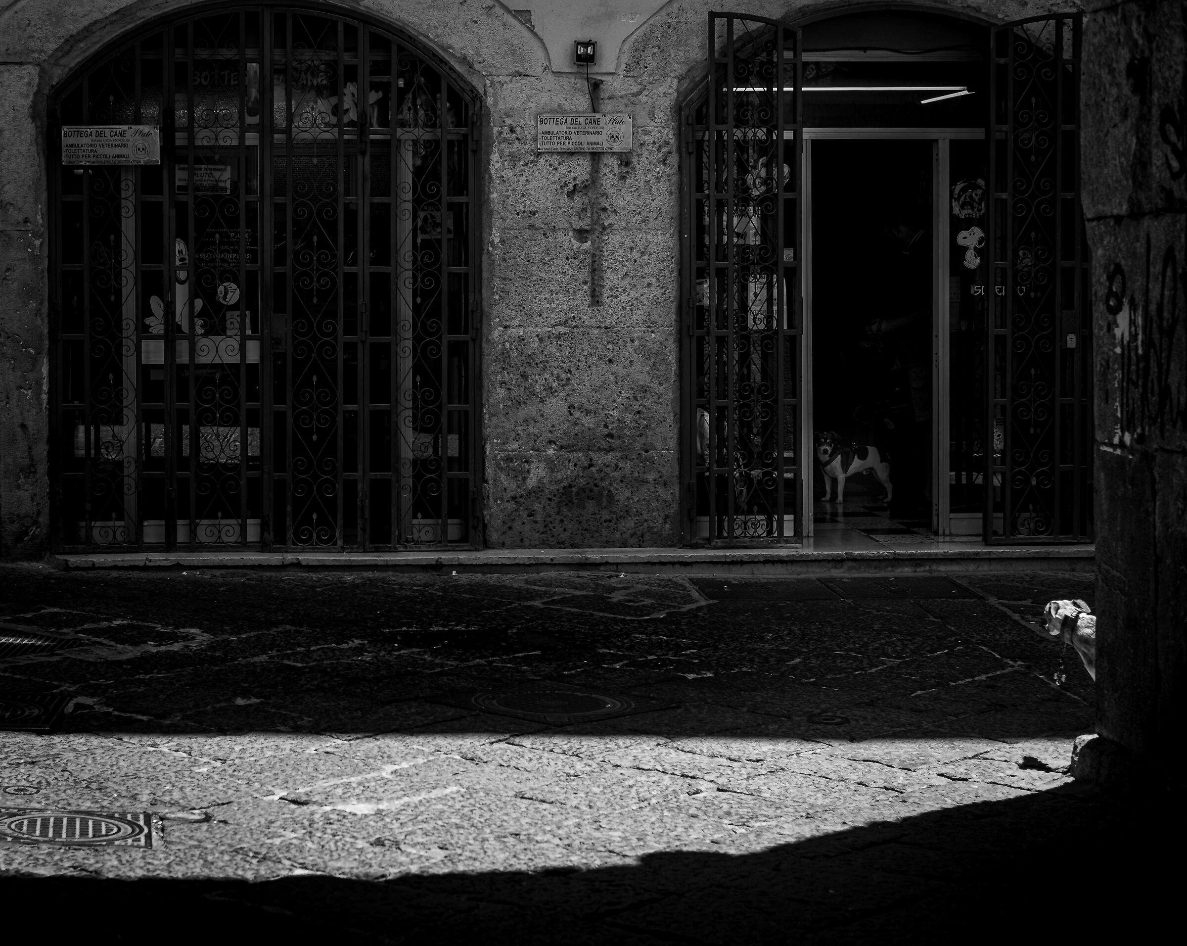 C'è chi può e chi non può