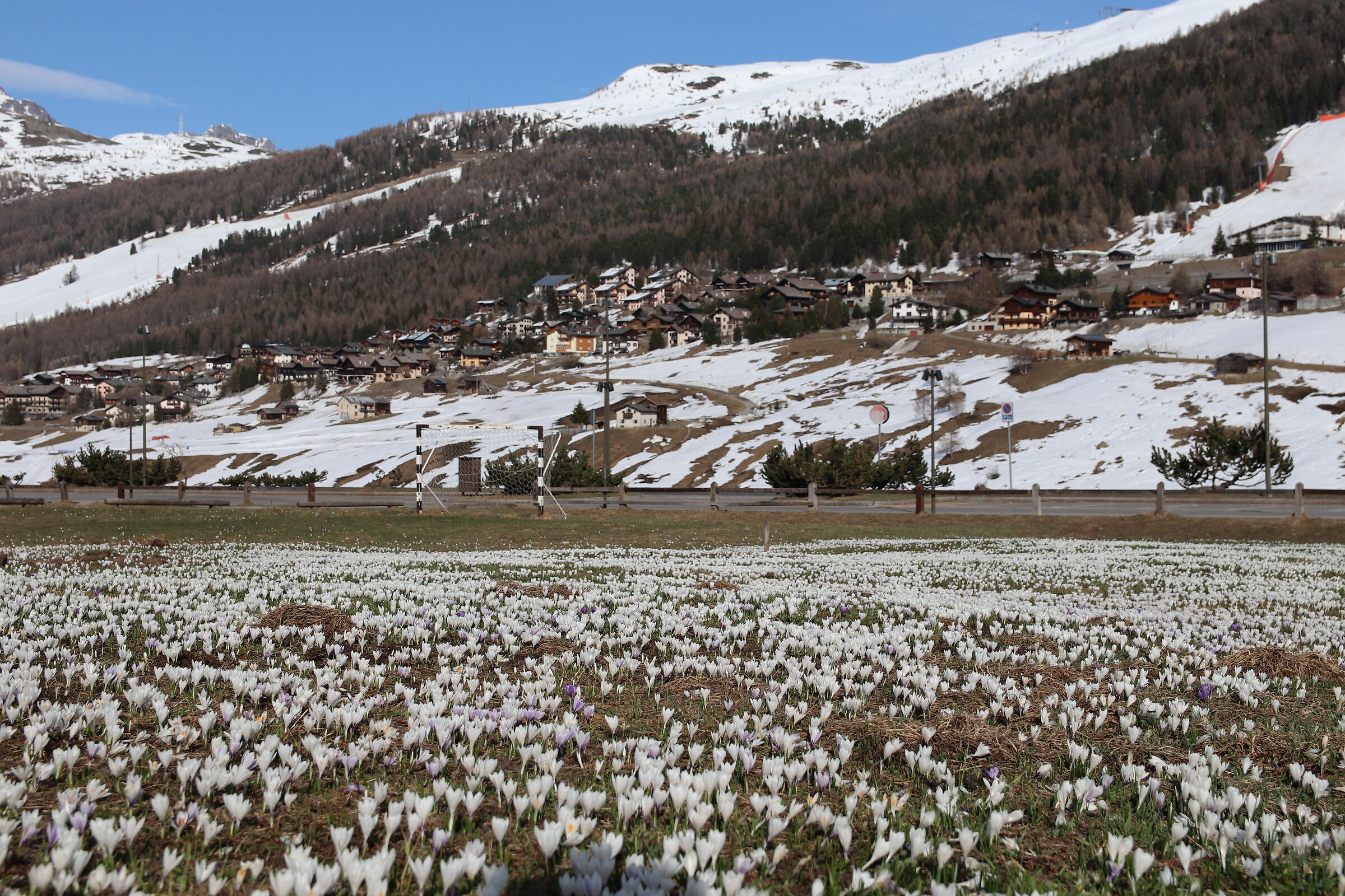 Livigno