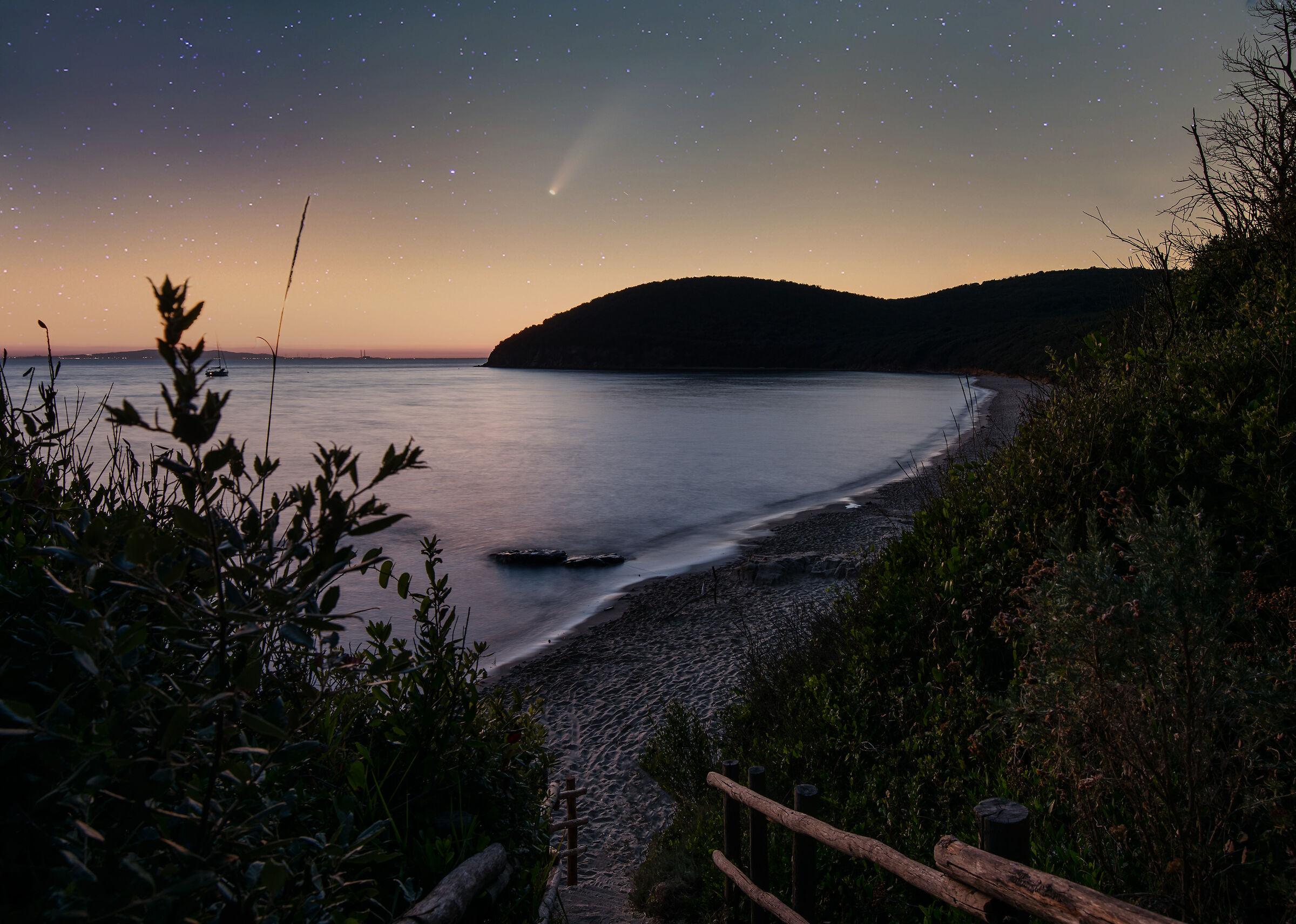 Calaviolina e Neowise