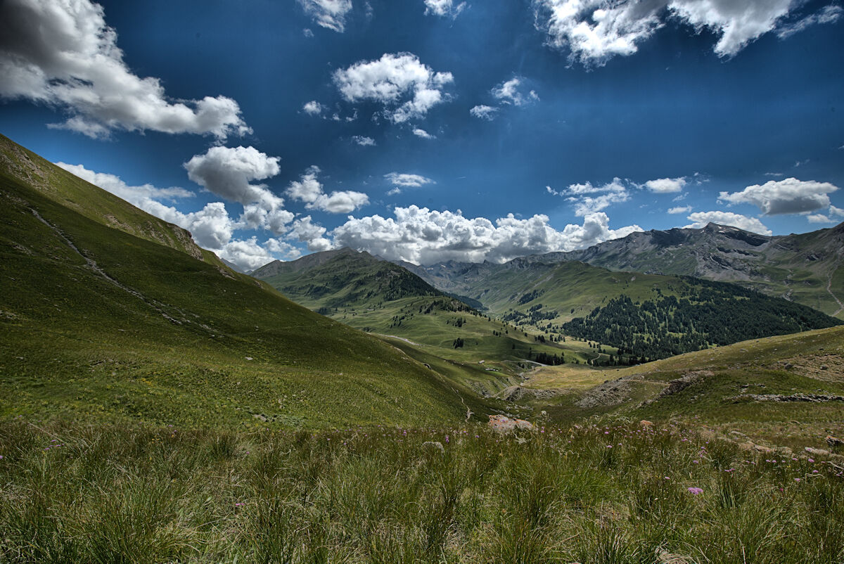 Magdalene Hills (CN)