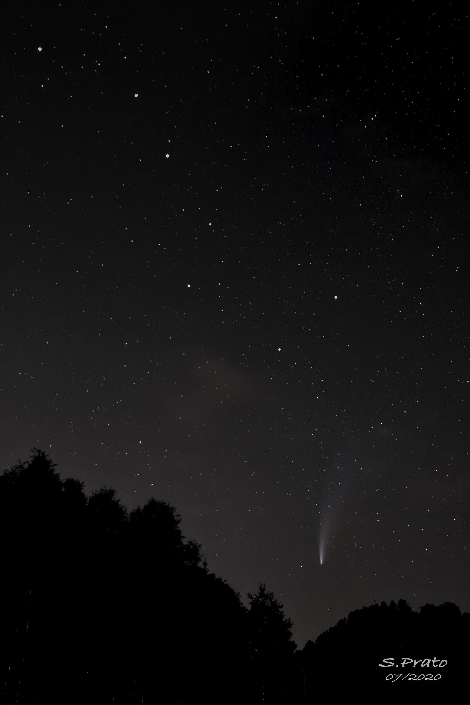 Major Bear with Neowise Comet